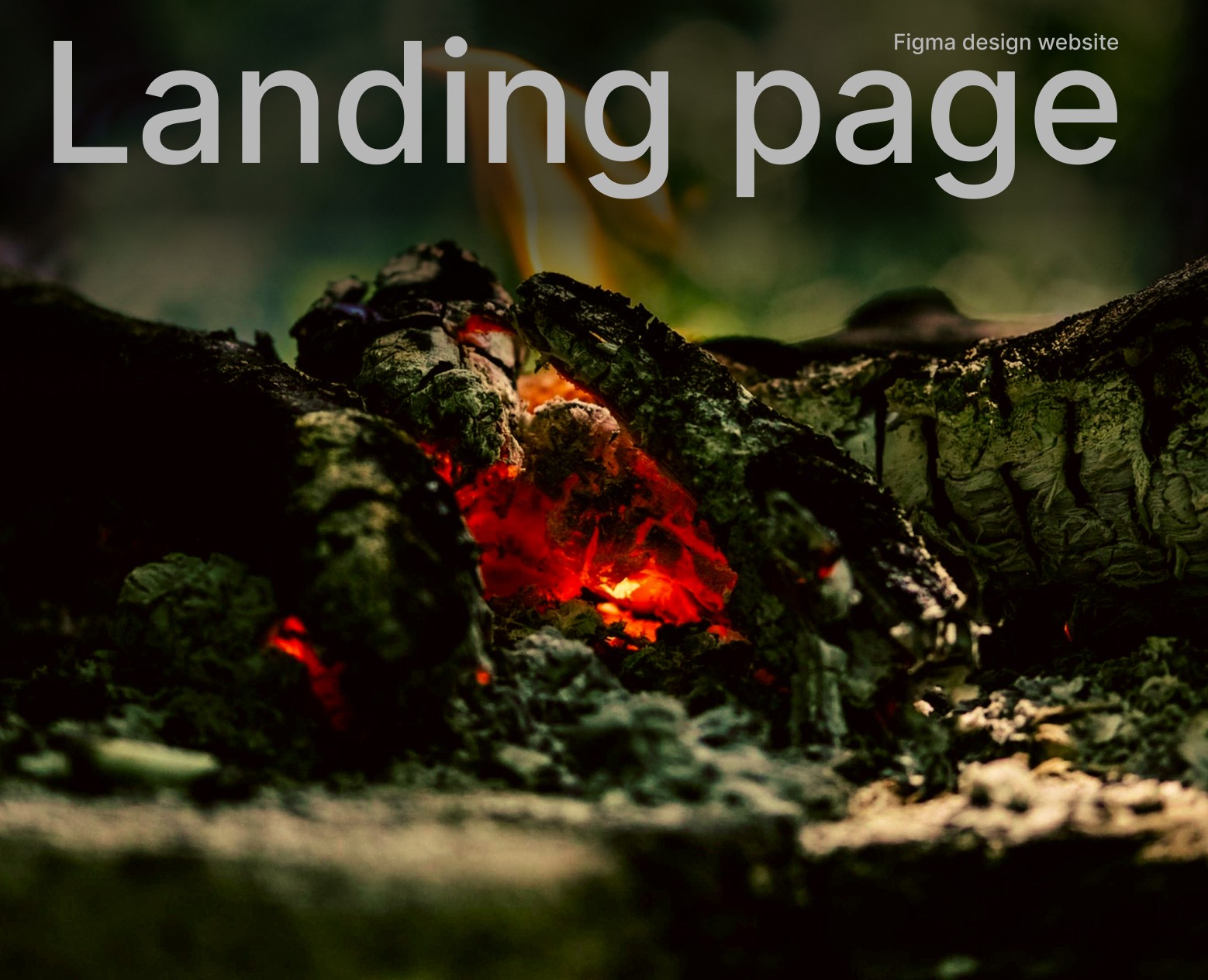 Business card website for the fireplace sales center — Интерфейсы на Dprofile