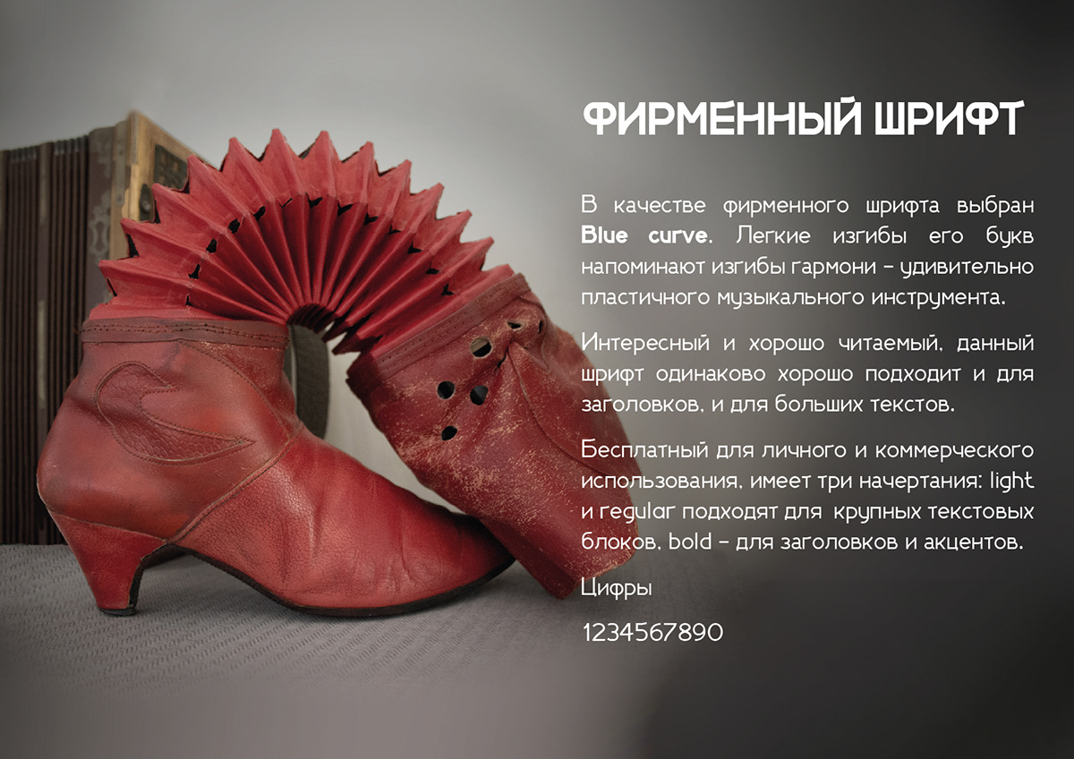 Международный фестиваль-конкурс "Тульская гармоника" — Изображение №4 — Брендинг на Dprofile