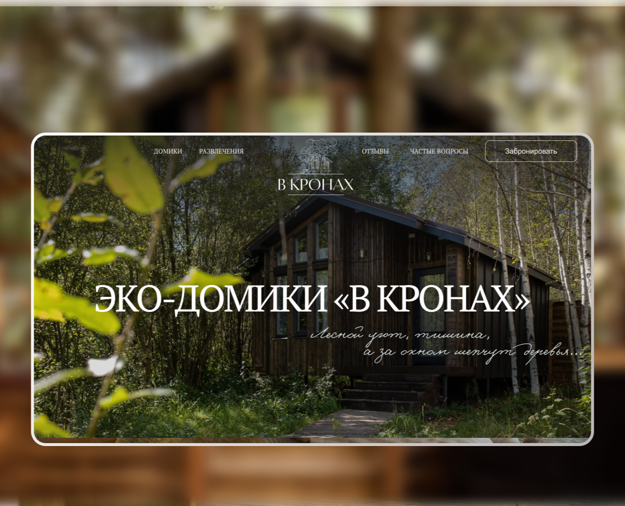 В кронах | Посадочная страница для глэмпинга — Интерфейсы, Брендинг на Dprofile