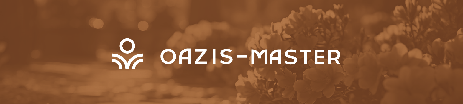 OAZIS-MASTER — Изображение №3 — Брендинг, Графика на Dprofile