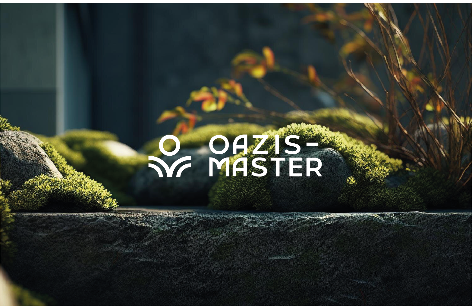 OAZIS-MASTER — Изображение №1 — Брендинг, Графика на Dprofile