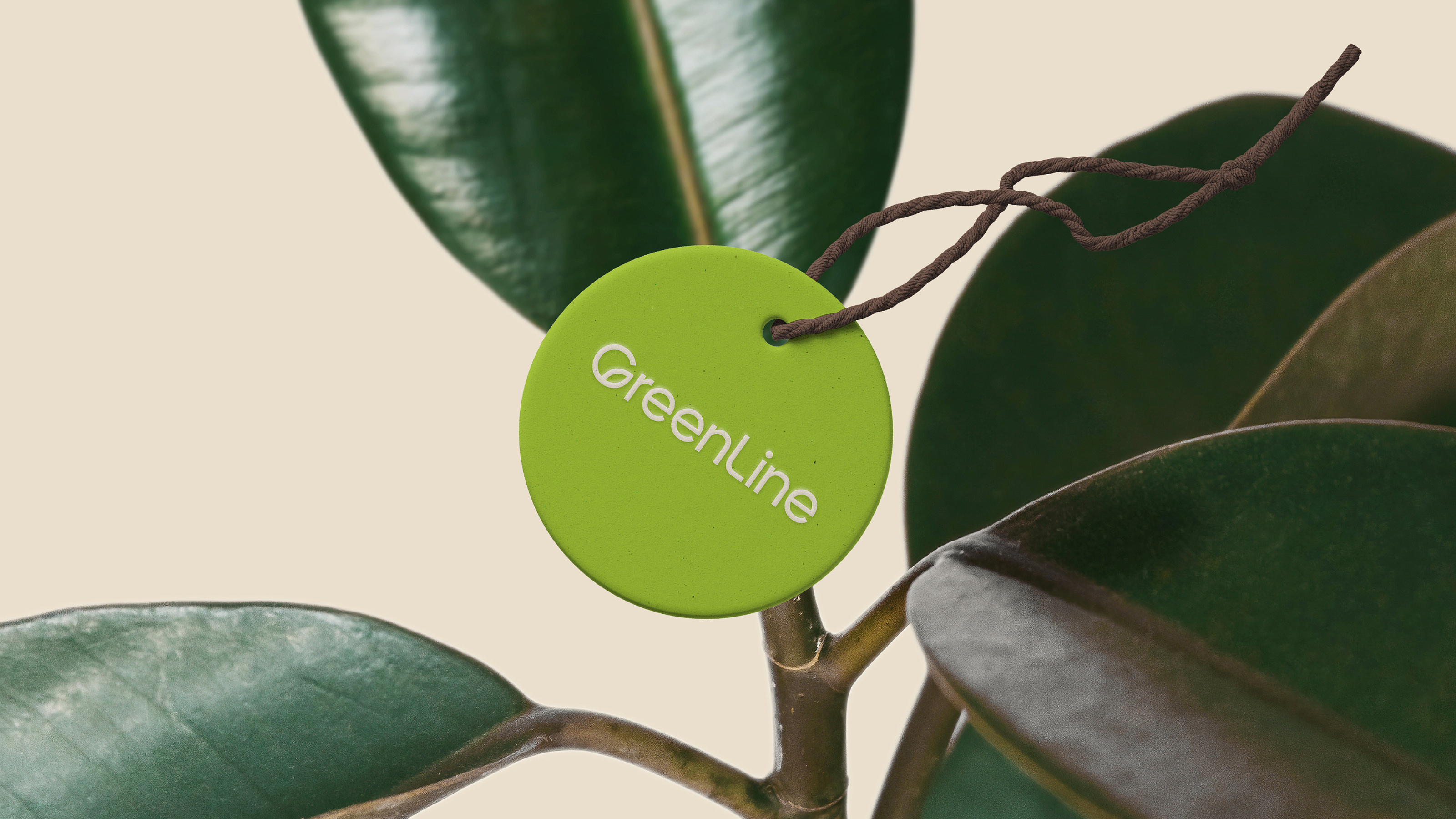 GreenLine — Изображение №20 — Брендинг на Dprofile