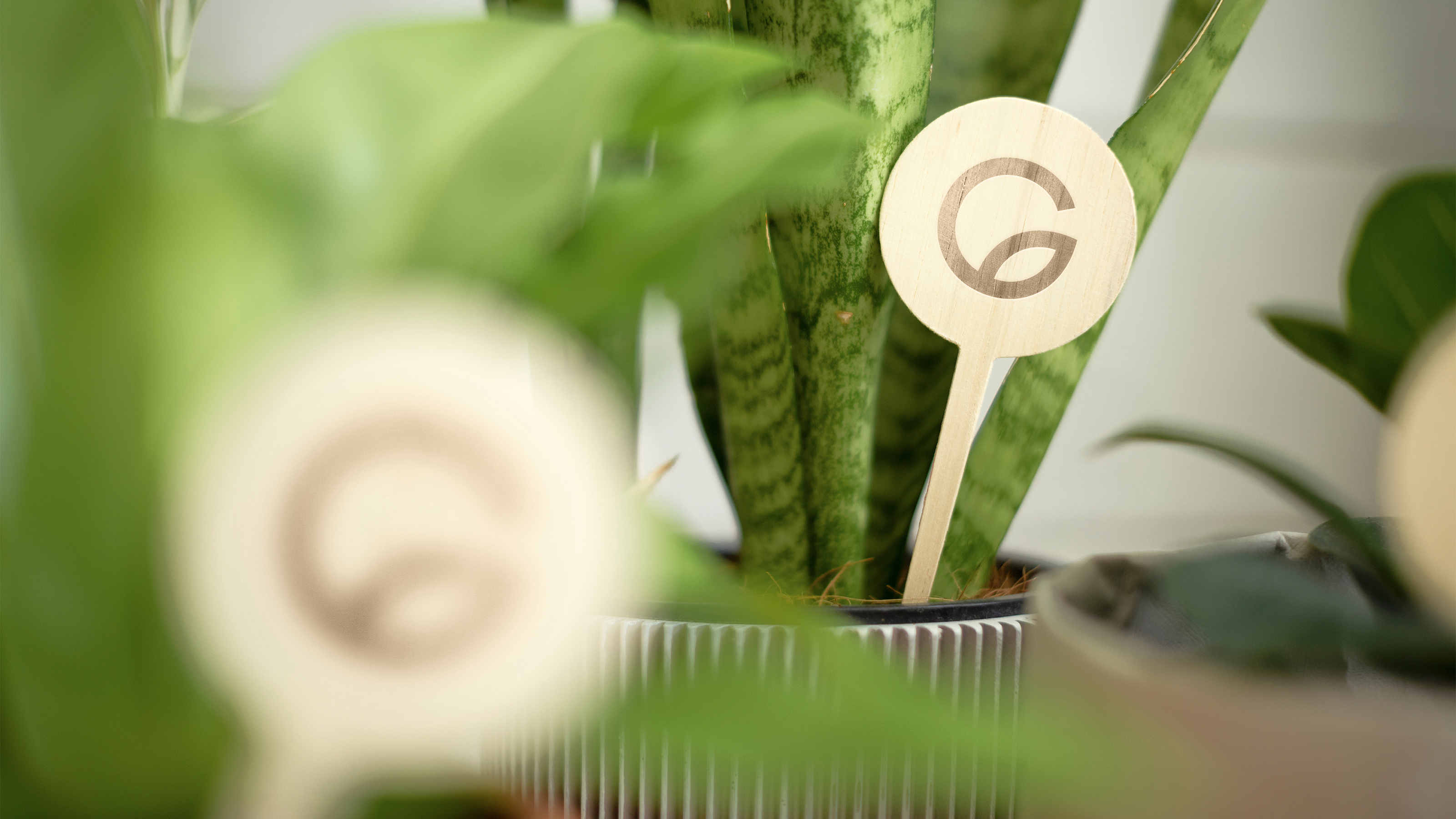 GreenLine — Изображение №9 — Брендинг на Dprofile