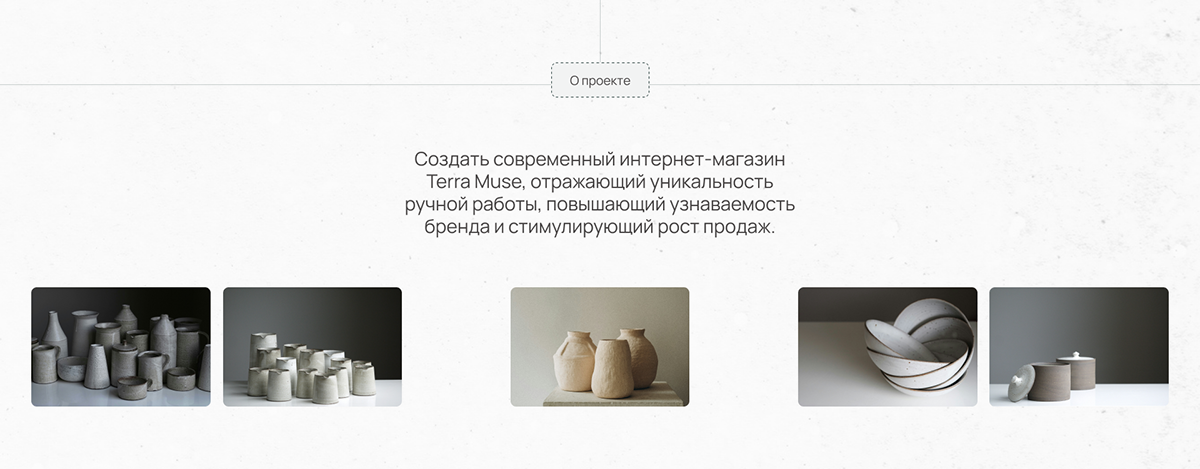 Terra Muse online store — Изображение №1 — Интерфейсы на Dprofile