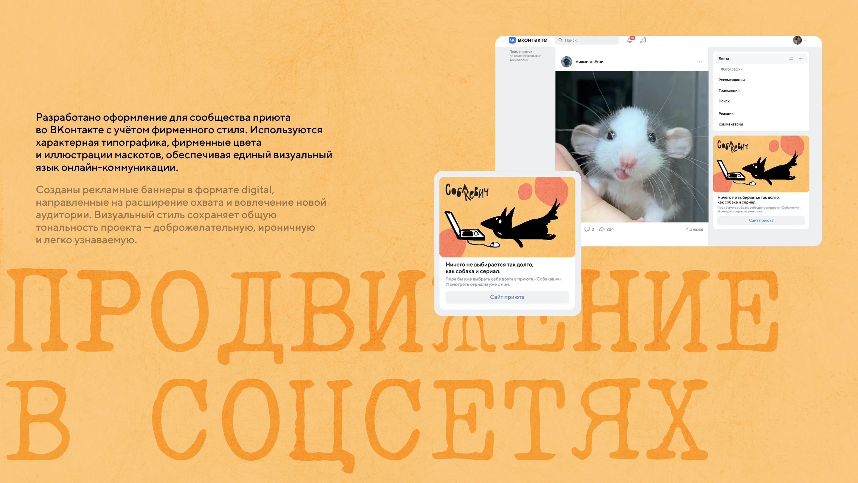 Фирменный стиль для собачьего приюта — Изображение №18 — Брендинг на Dprofile