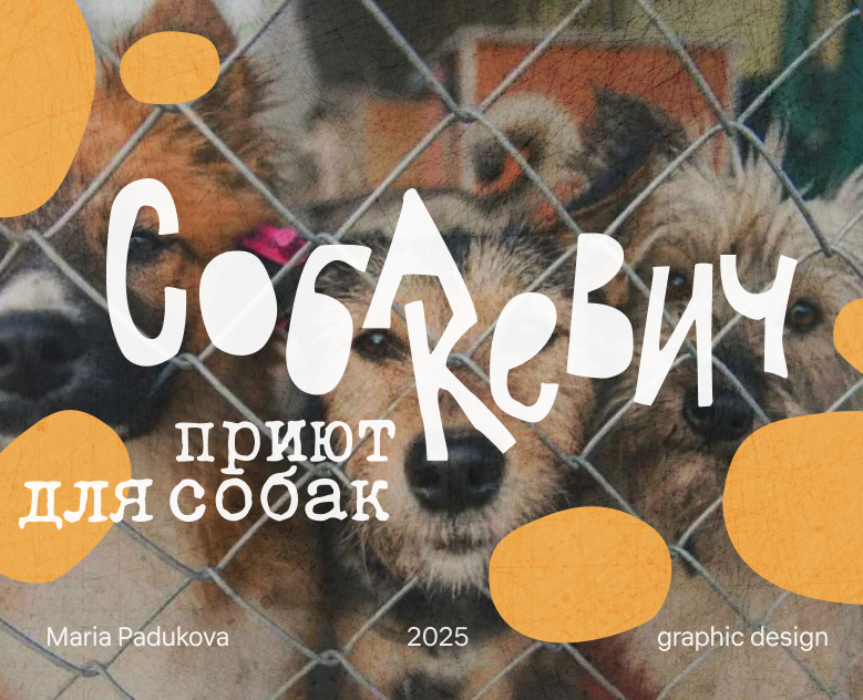 Фирменный стиль для собачьего приюта на Dprofile
