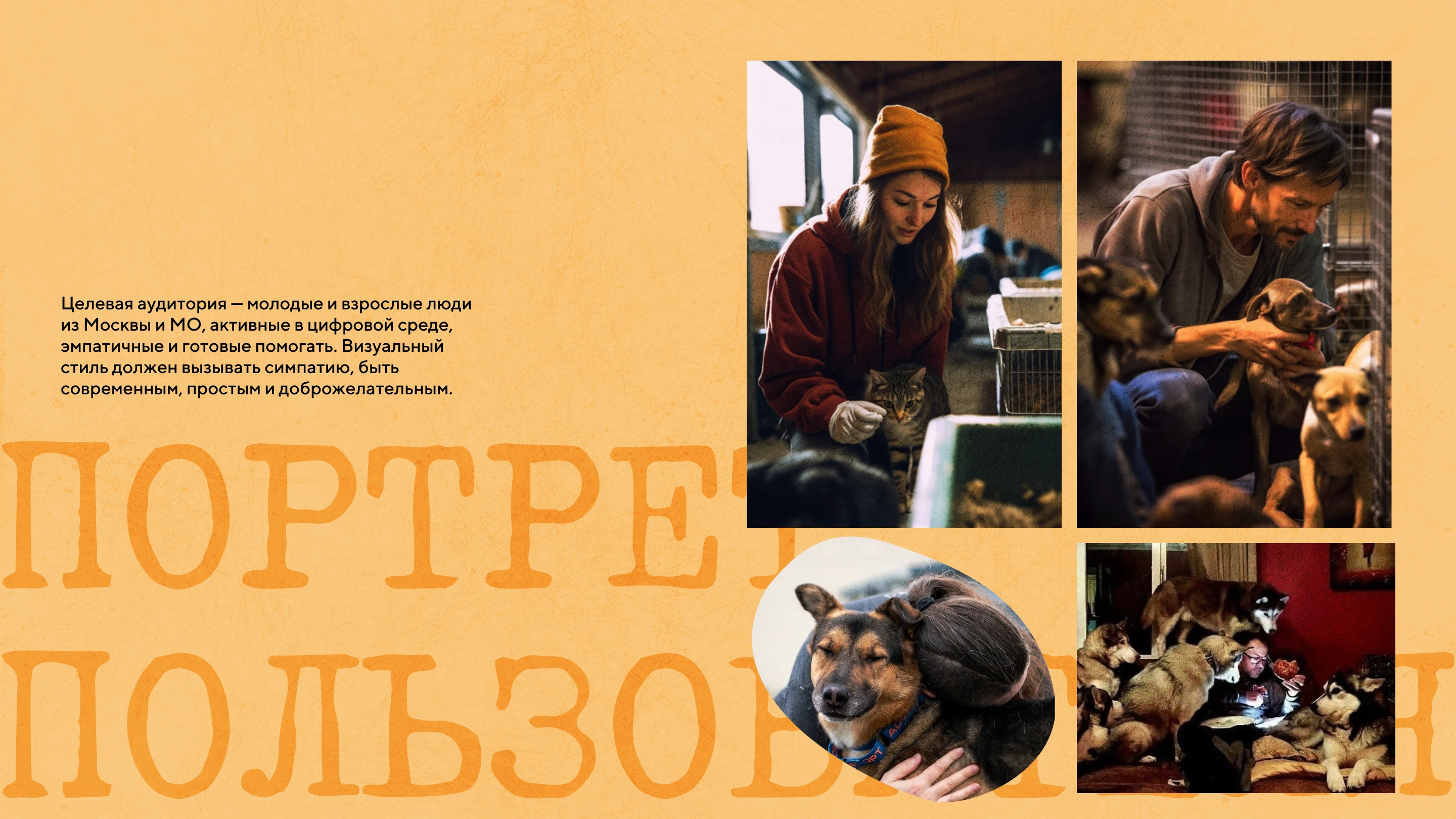 Фирменный стиль для собачьего приюта — Изображение №4 — Брендинг на Dprofile