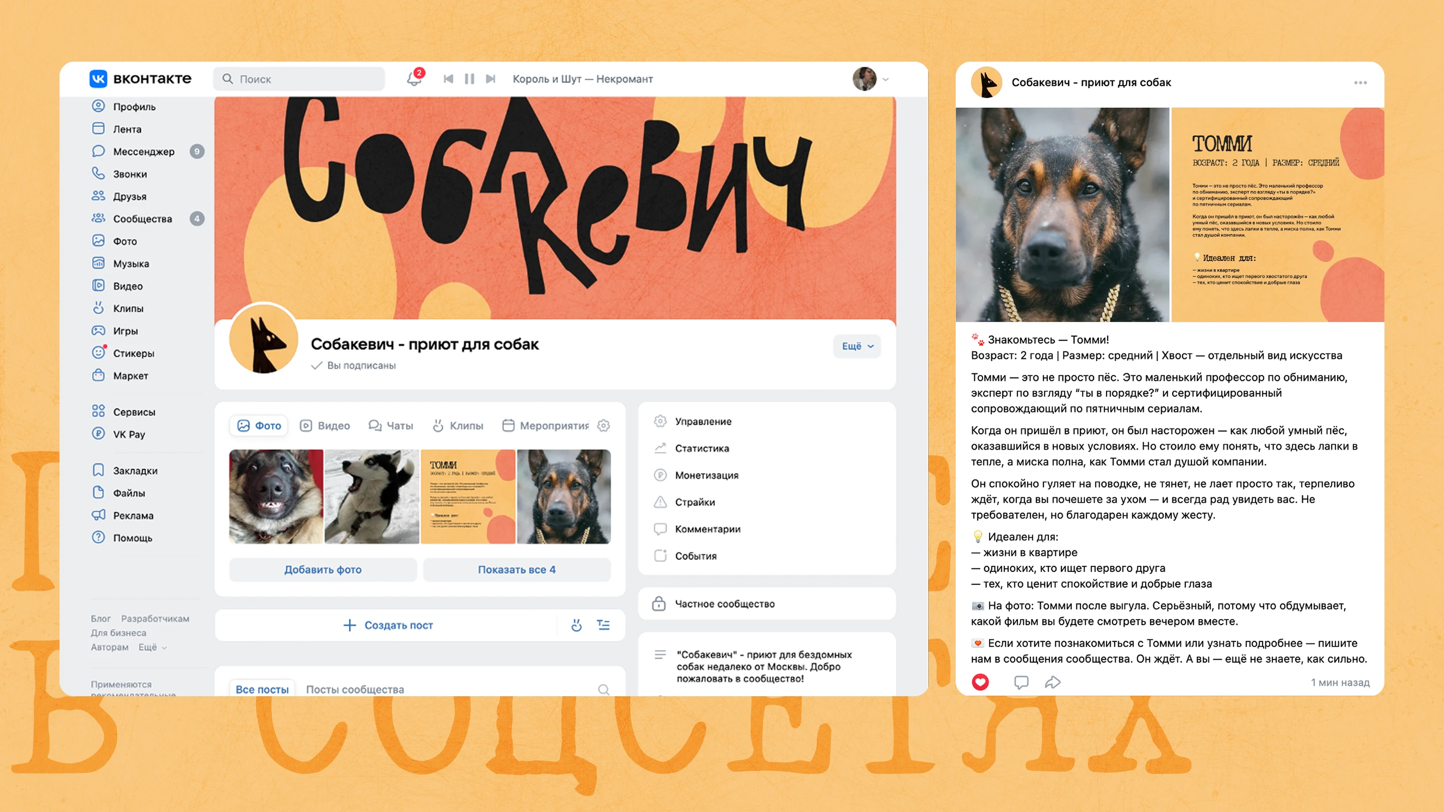 Фирменный стиль для собачьего приюта — Изображение №19 — Брендинг на Dprofile