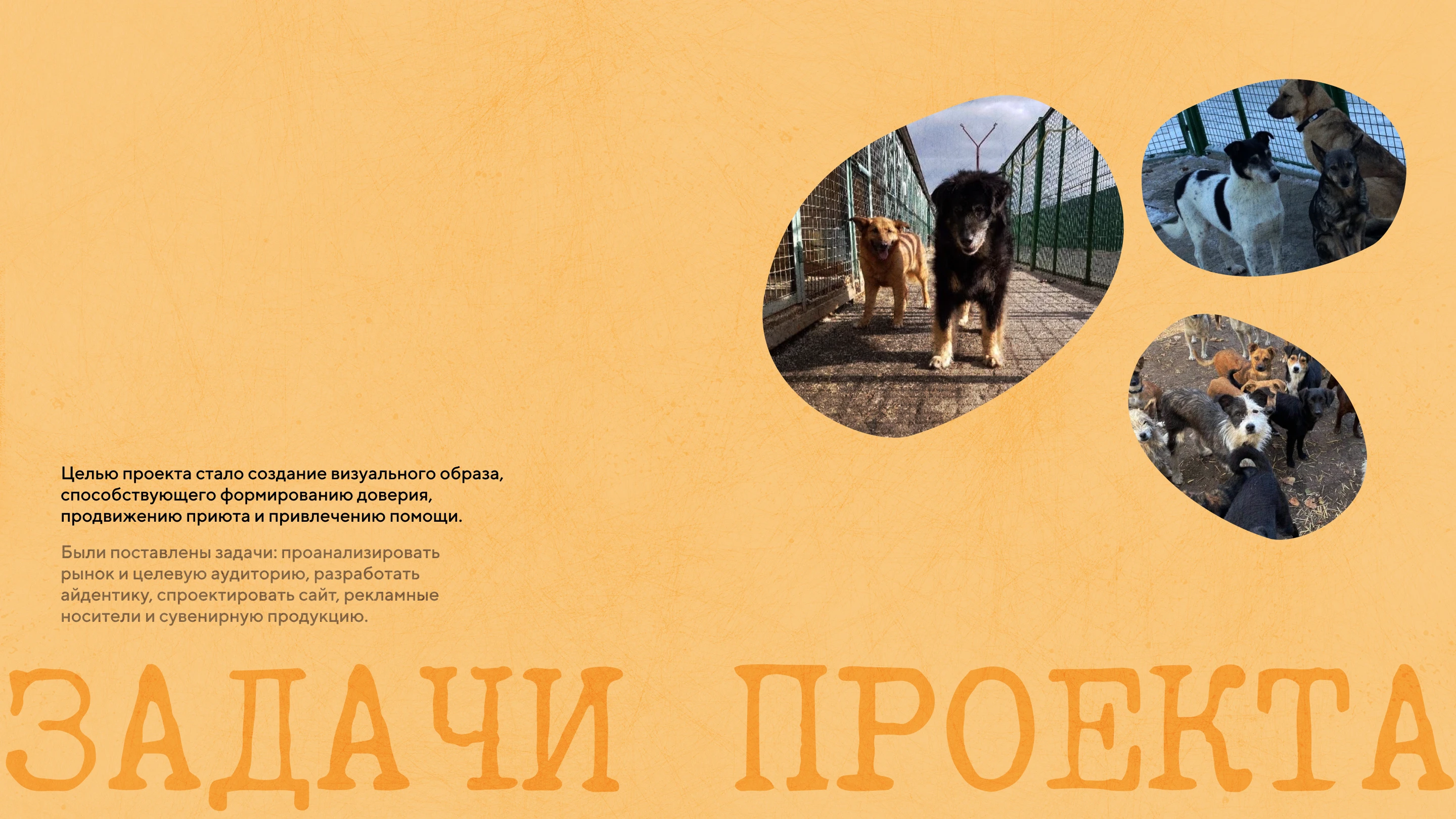 Фирменный стиль для собачьего приюта — Изображение №2 — Брендинг на Dprofile
