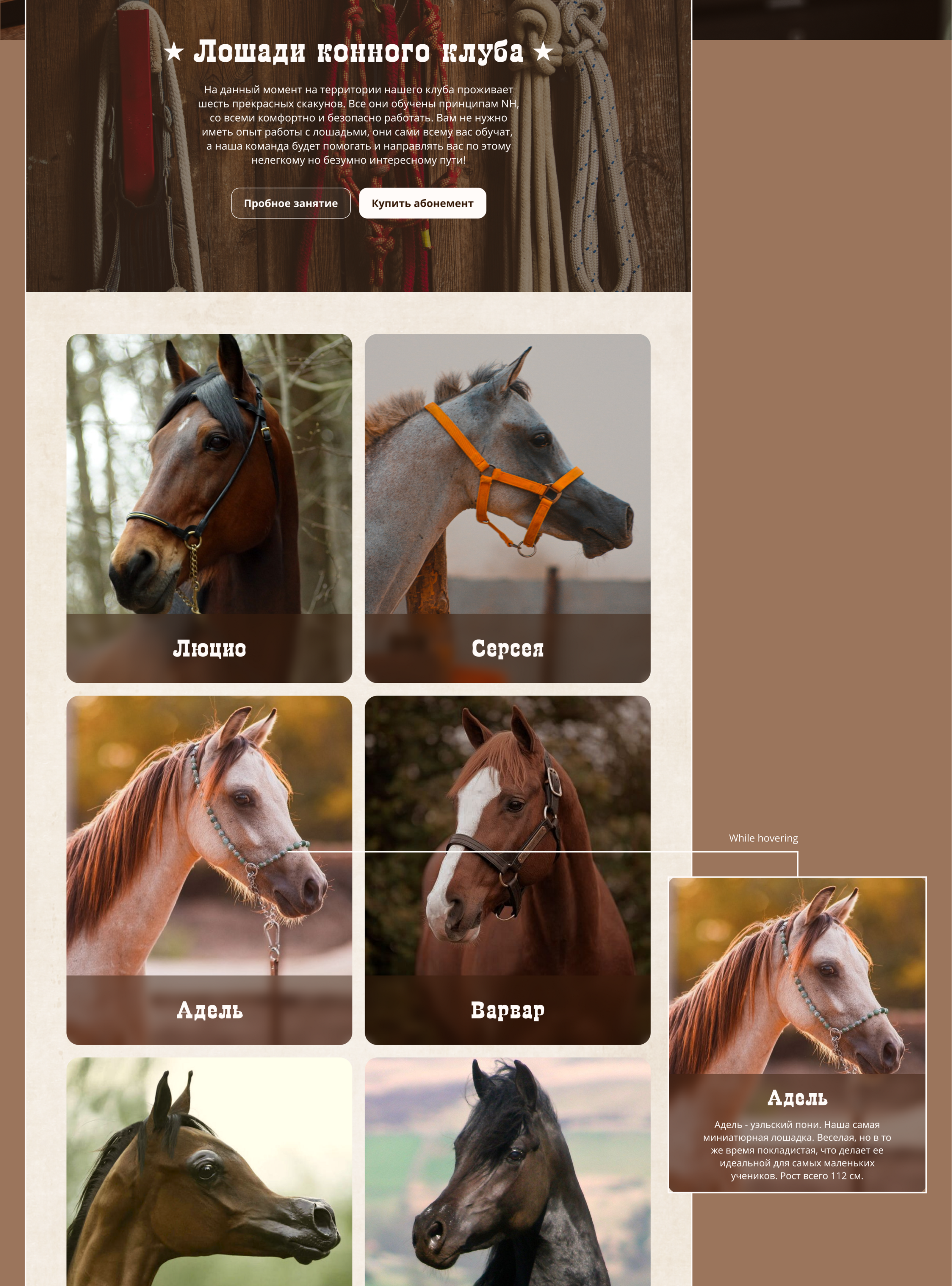 Horse club / Website design — Изображение №7 — Интерфейсы на Dprofile