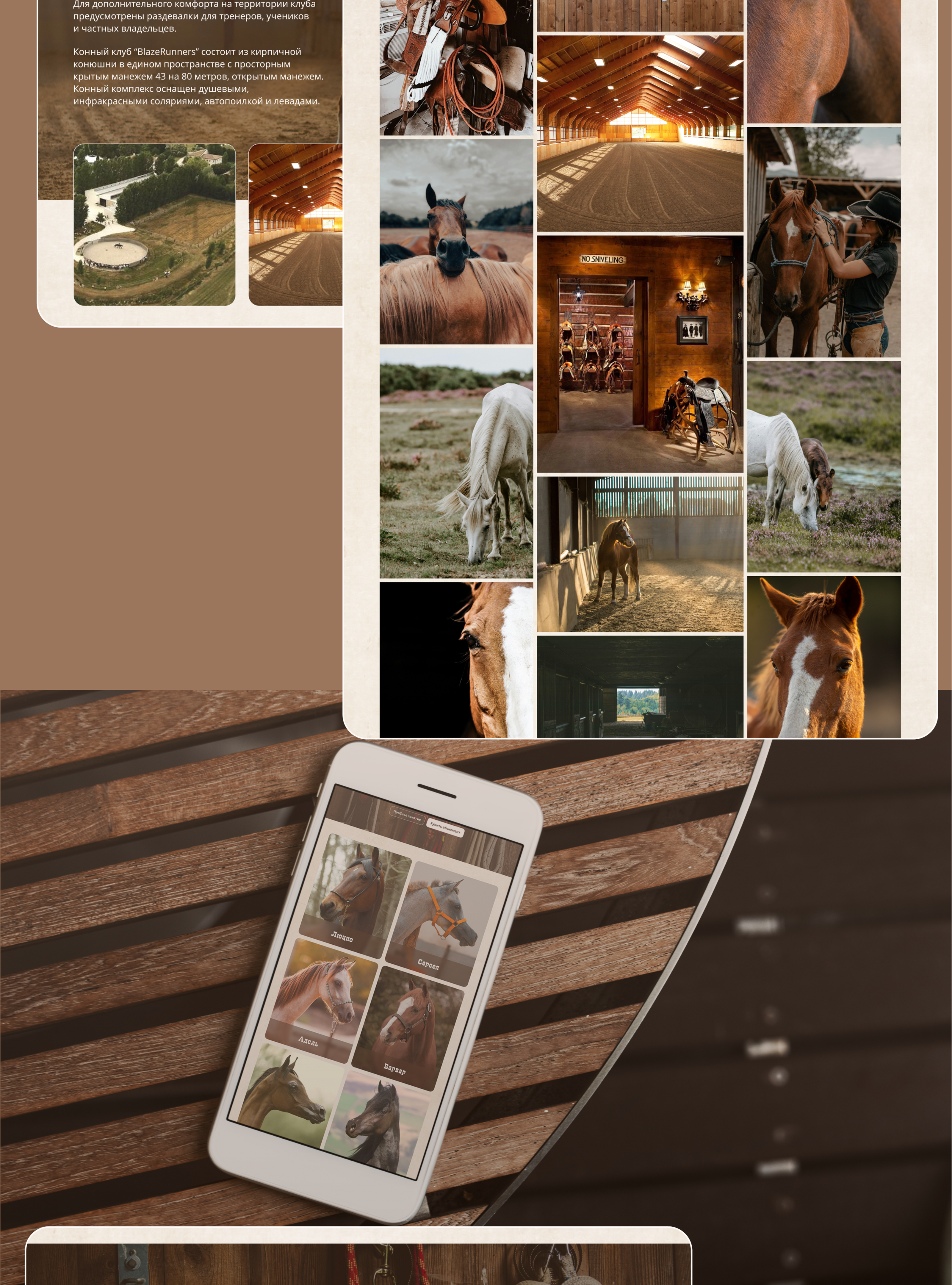 Horse club / Website design — Изображение №6 — Интерфейсы на Dprofile