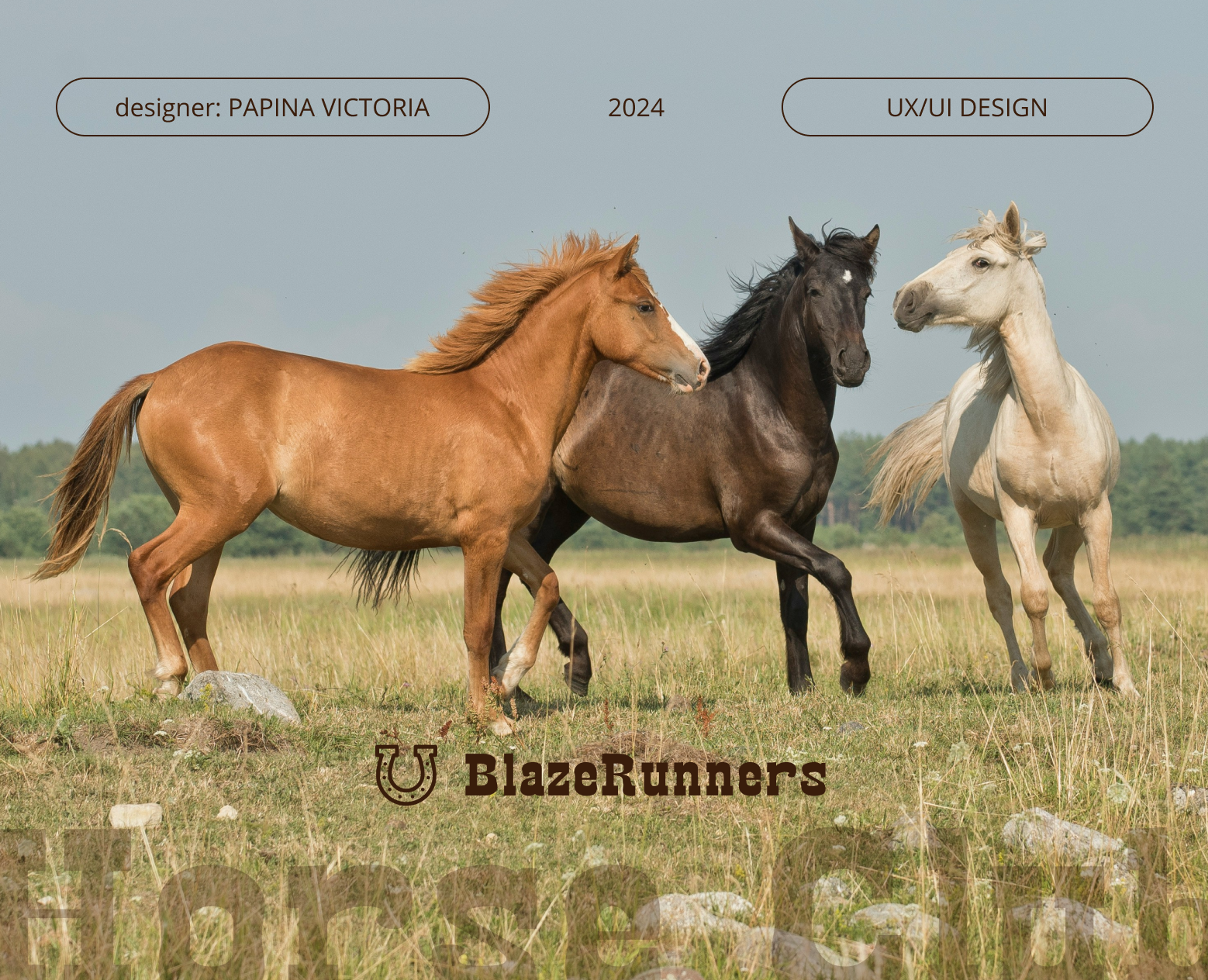 Horse club / Website design — Интерфейсы на Dprofile