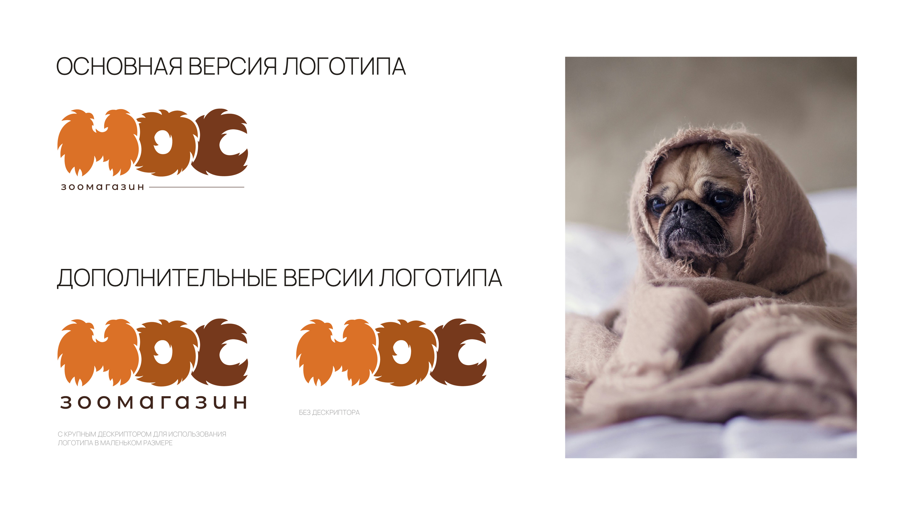 Логотип для зоомагазина — Изображение №3 — Брендинг на Dprofile