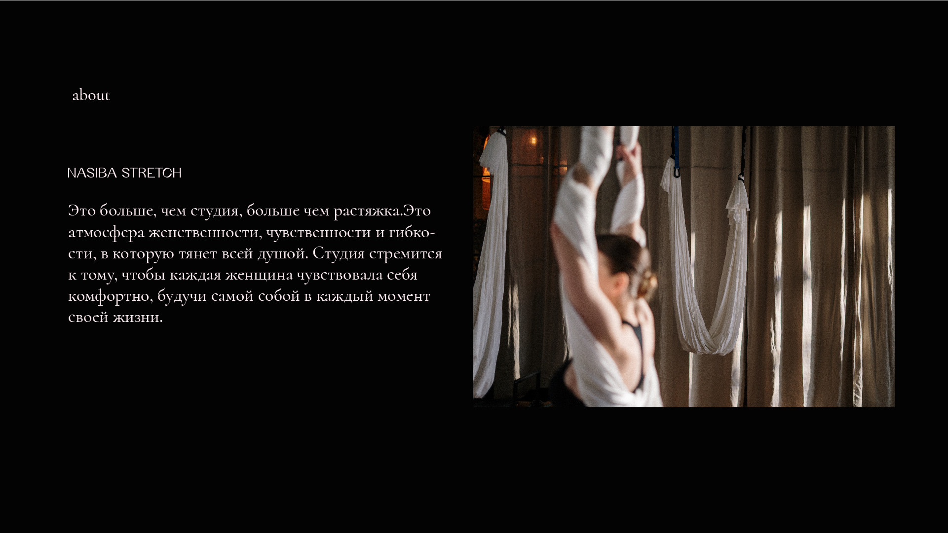 ФИРМЕННЫЙ СТИЛЬ/ЛОГОТИП/СТУДИЯ РАСТЯЖКИ — Изображение №2 — Брендинг, Графика на Dprofile