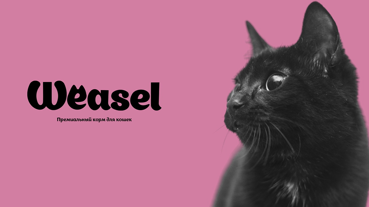 Project logo "Weasel" — Изображение №1 — Брендинг на Dprofile