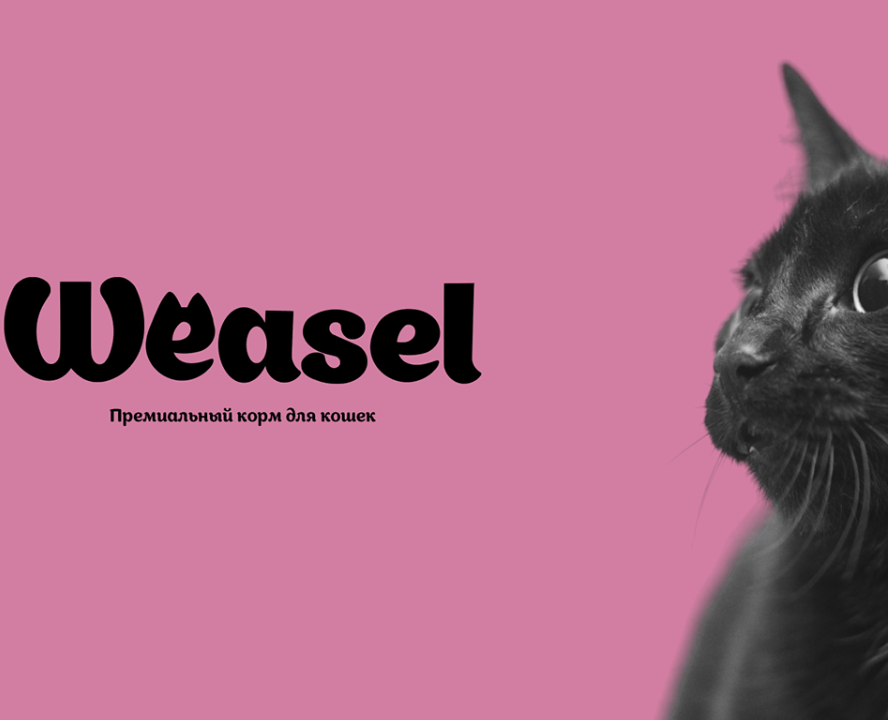 Project logo "Weasel" на Dprofile