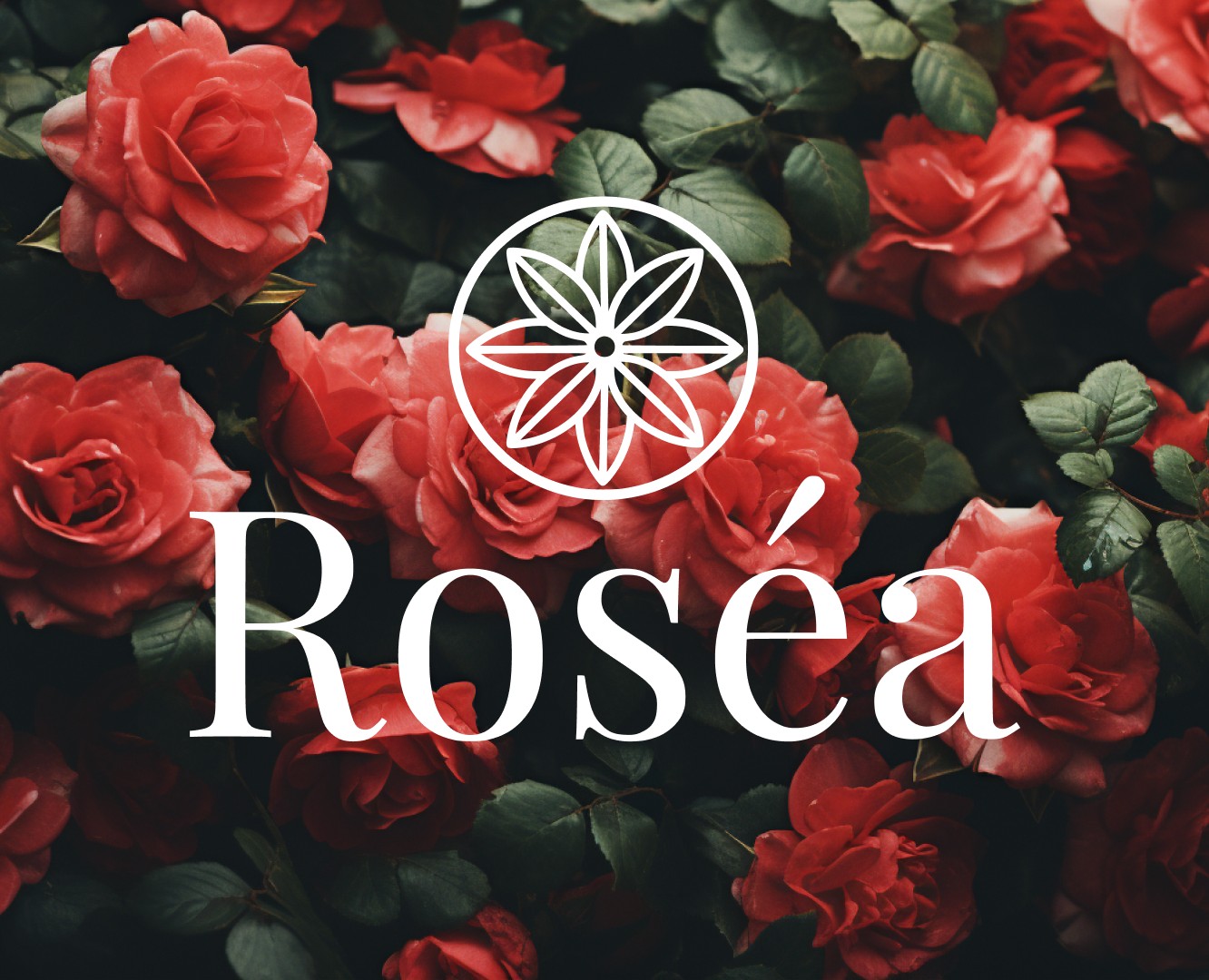 Логотип/фирменный стиль Rosea на Dprofile