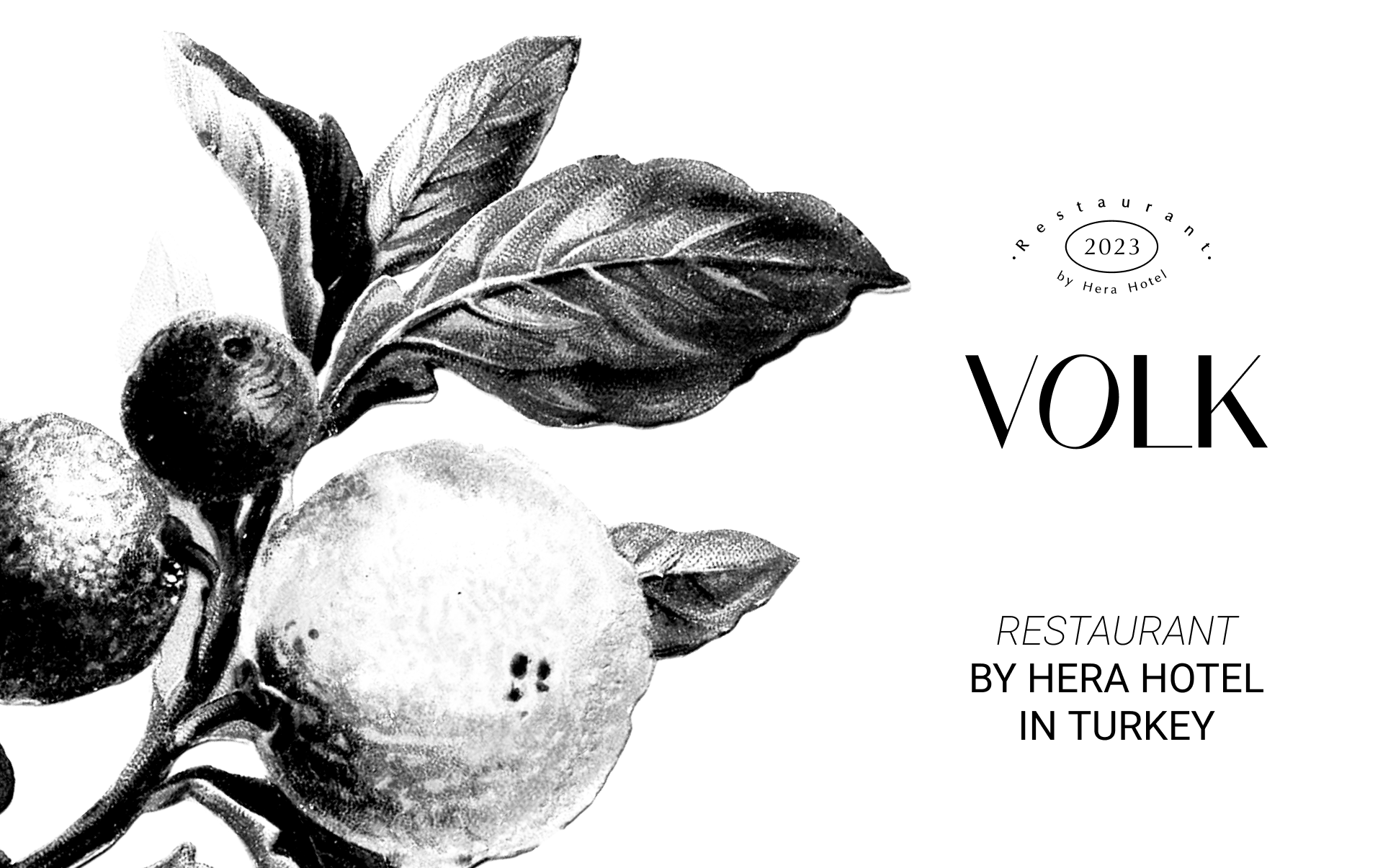 Volk Restaurant — Изображение №2 — Брендинг на Dprofile