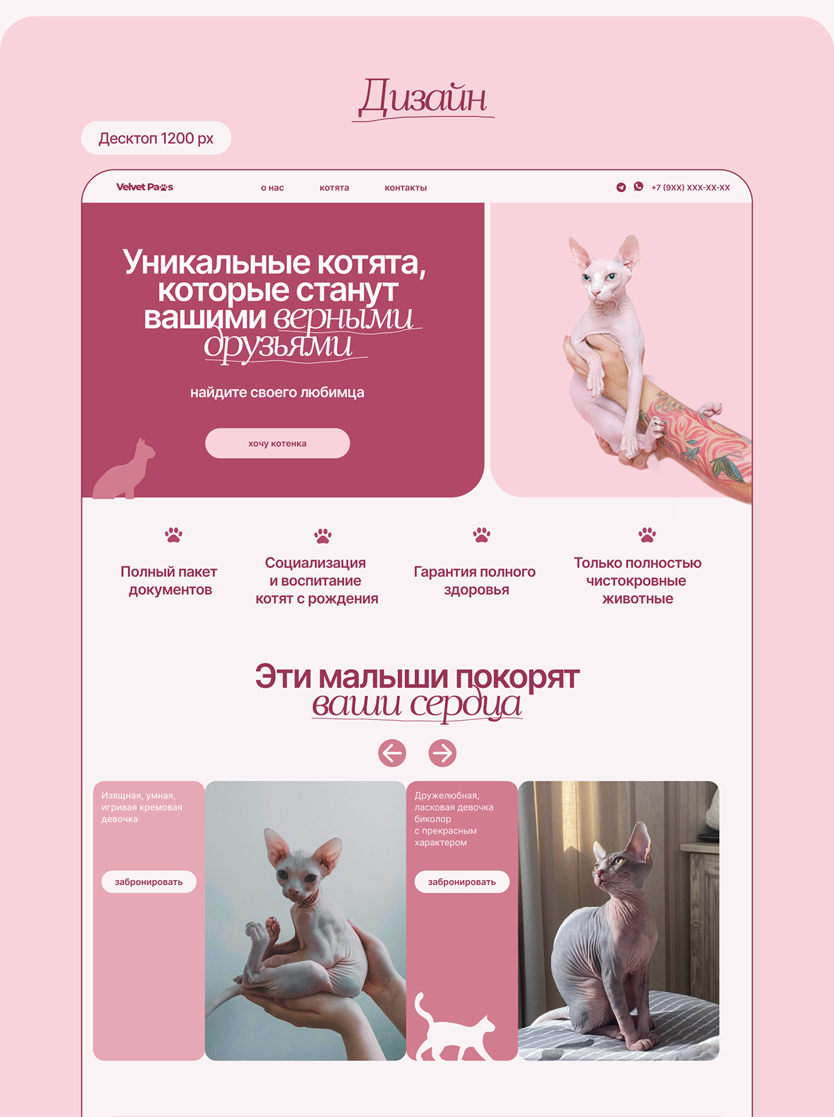 Сайт питомника канадских сфинксов Velvet Paws — Изображение №9 — Интерфейсы на Dprofile