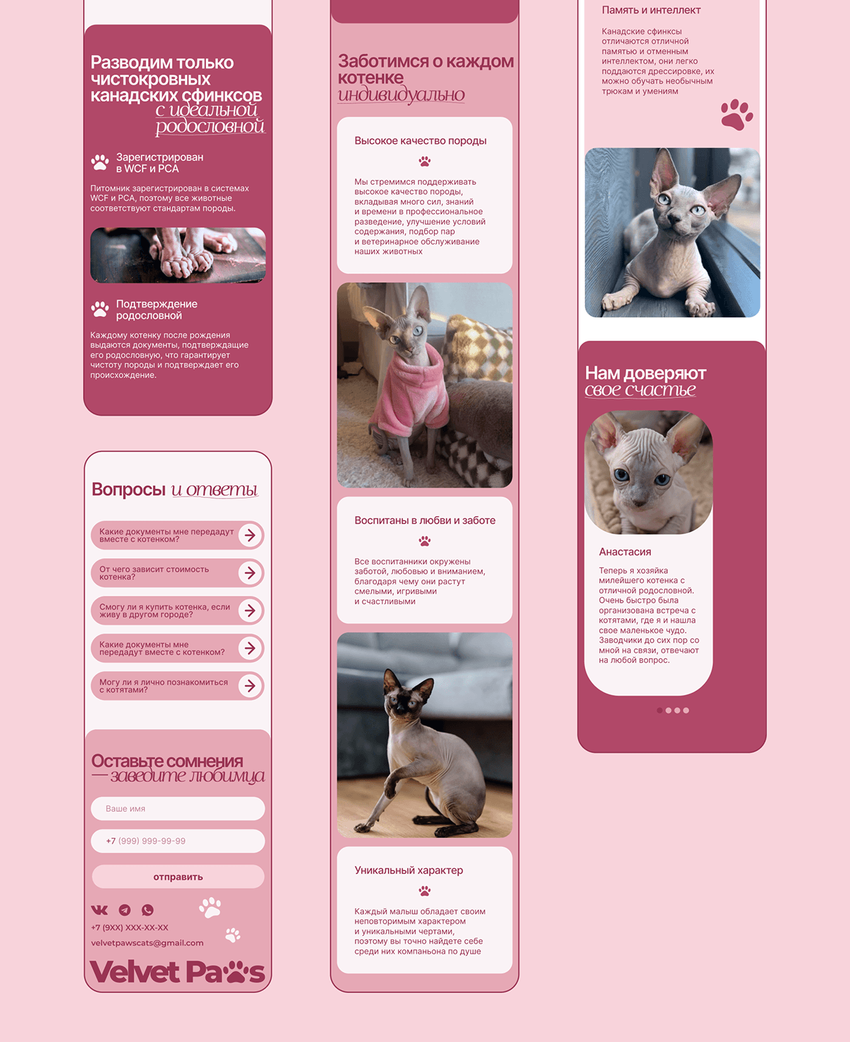 Сайт питомника канадских сфинксов Velvet Paws — Изображение №14 — Интерфейсы на Dprofile
