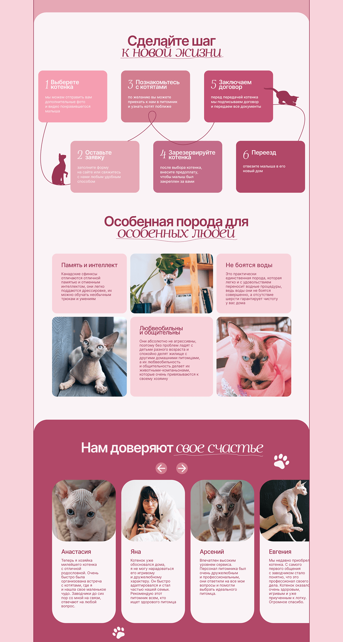 Сайт питомника канадских сфинксов Velvet Paws — Изображение №11 — Интерфейсы на Dprofile