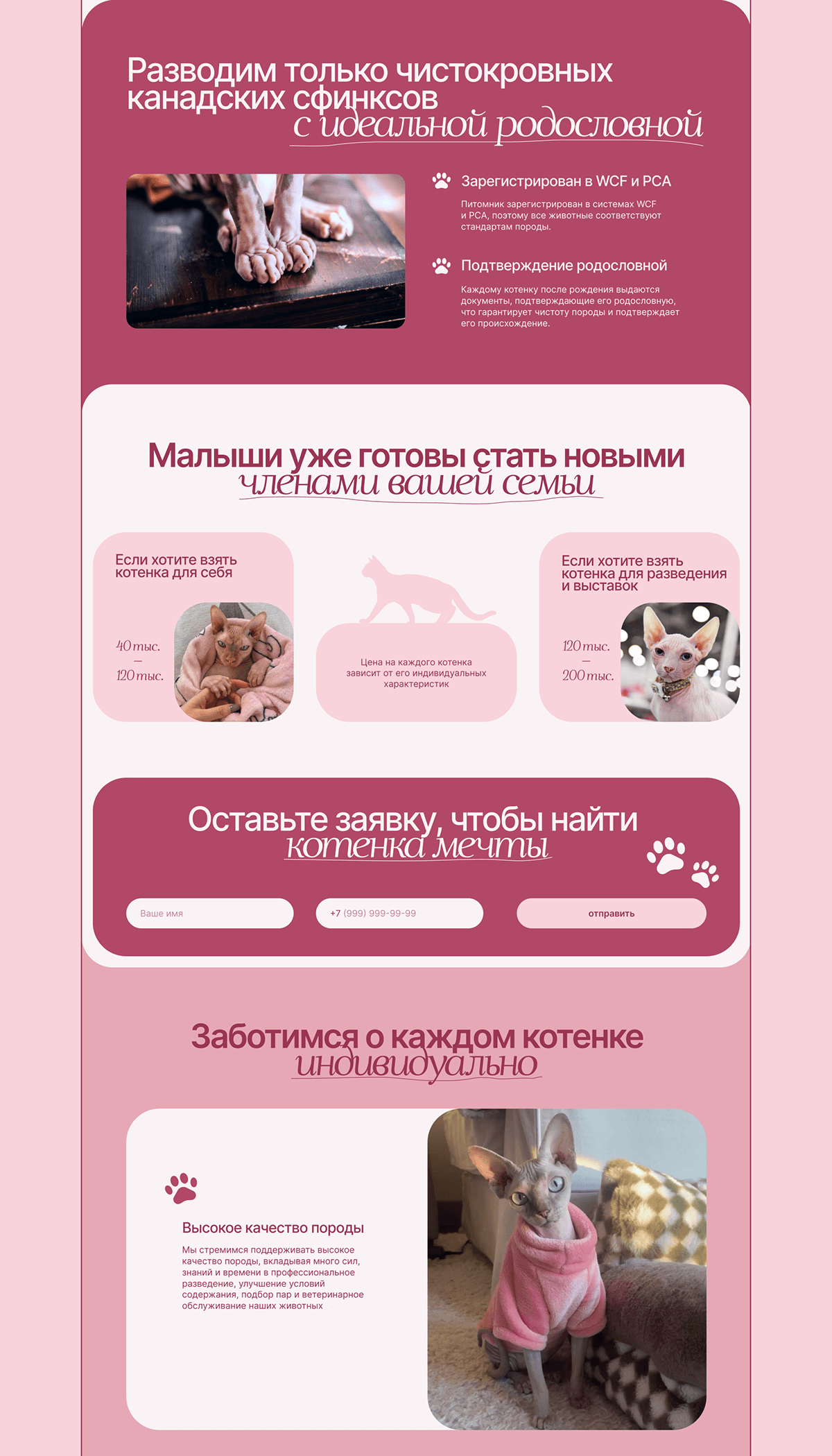 Сайт питомника канадских сфинксов Velvet Paws — Изображение №10 — Интерфейсы на Dprofile