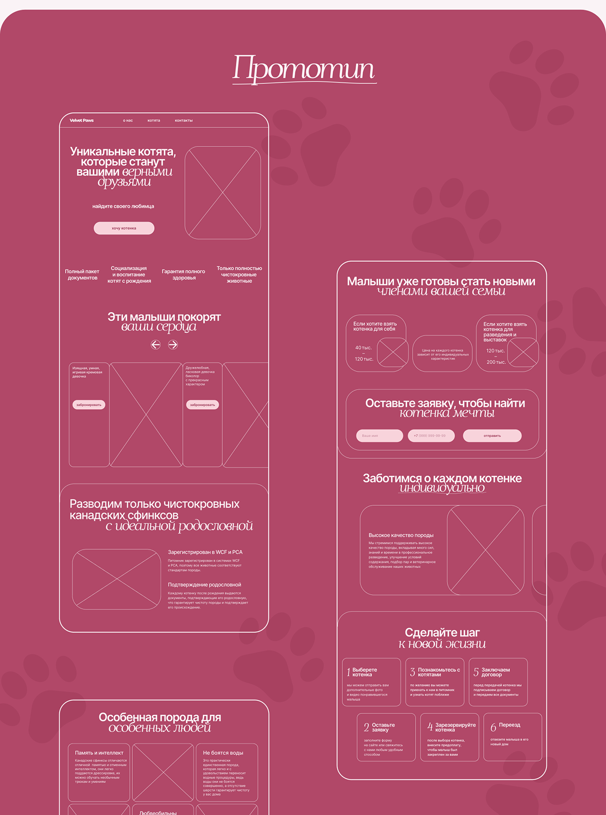 Сайт питомника канадских сфинксов Velvet Paws — Изображение №5 — Интерфейсы на Dprofile