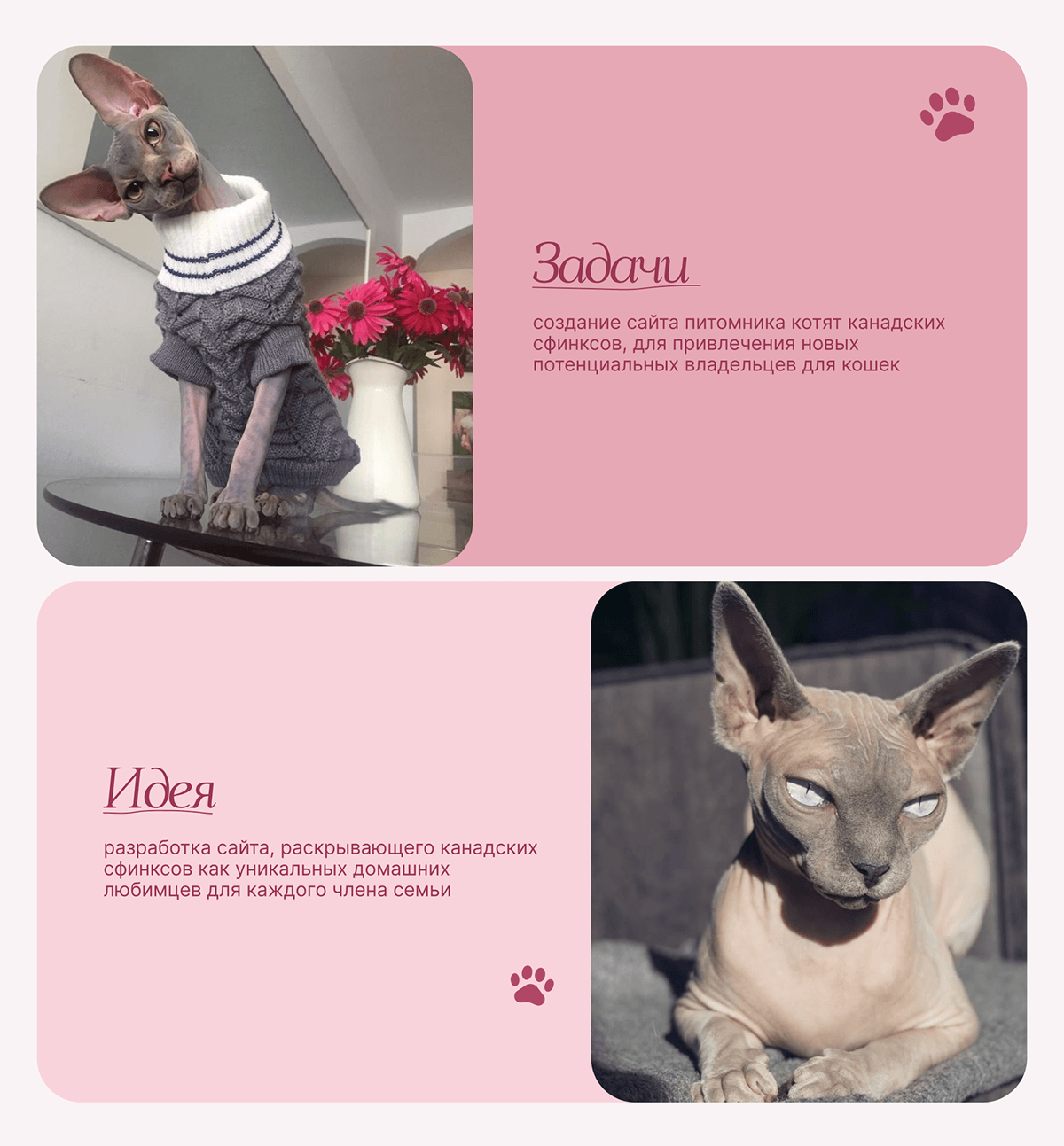 Сайт питомника канадских сфинксов Velvet Paws — Изображение №2 — Интерфейсы на Dprofile
