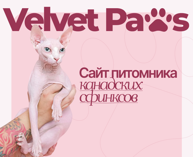 Сайт питомника канадских сфинксов Velvet Paws — Интерфейсы на Dprofile