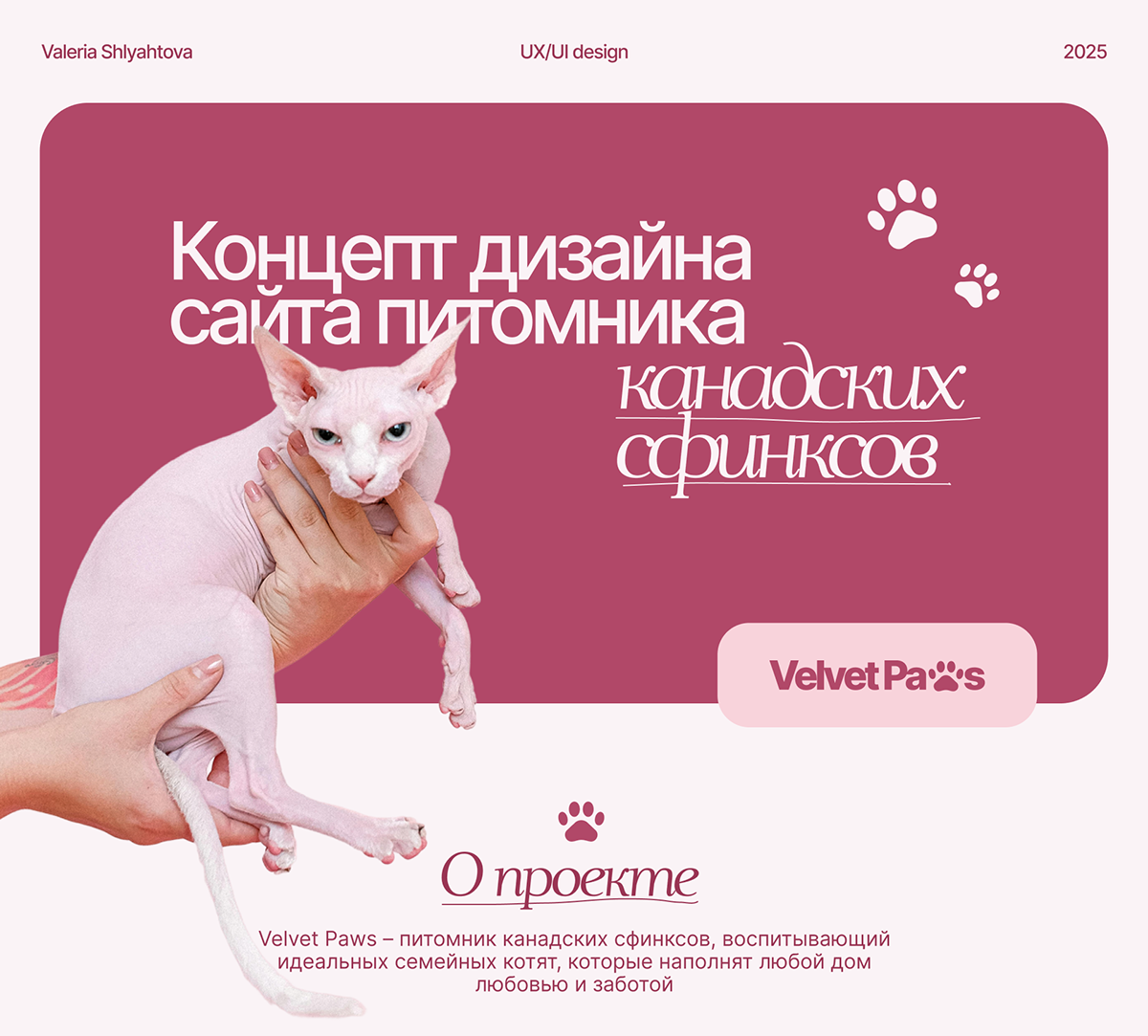 Сайт питомника канадских сфинксов Velvet Paws — Изображение №1 — Интерфейсы на Dprofile