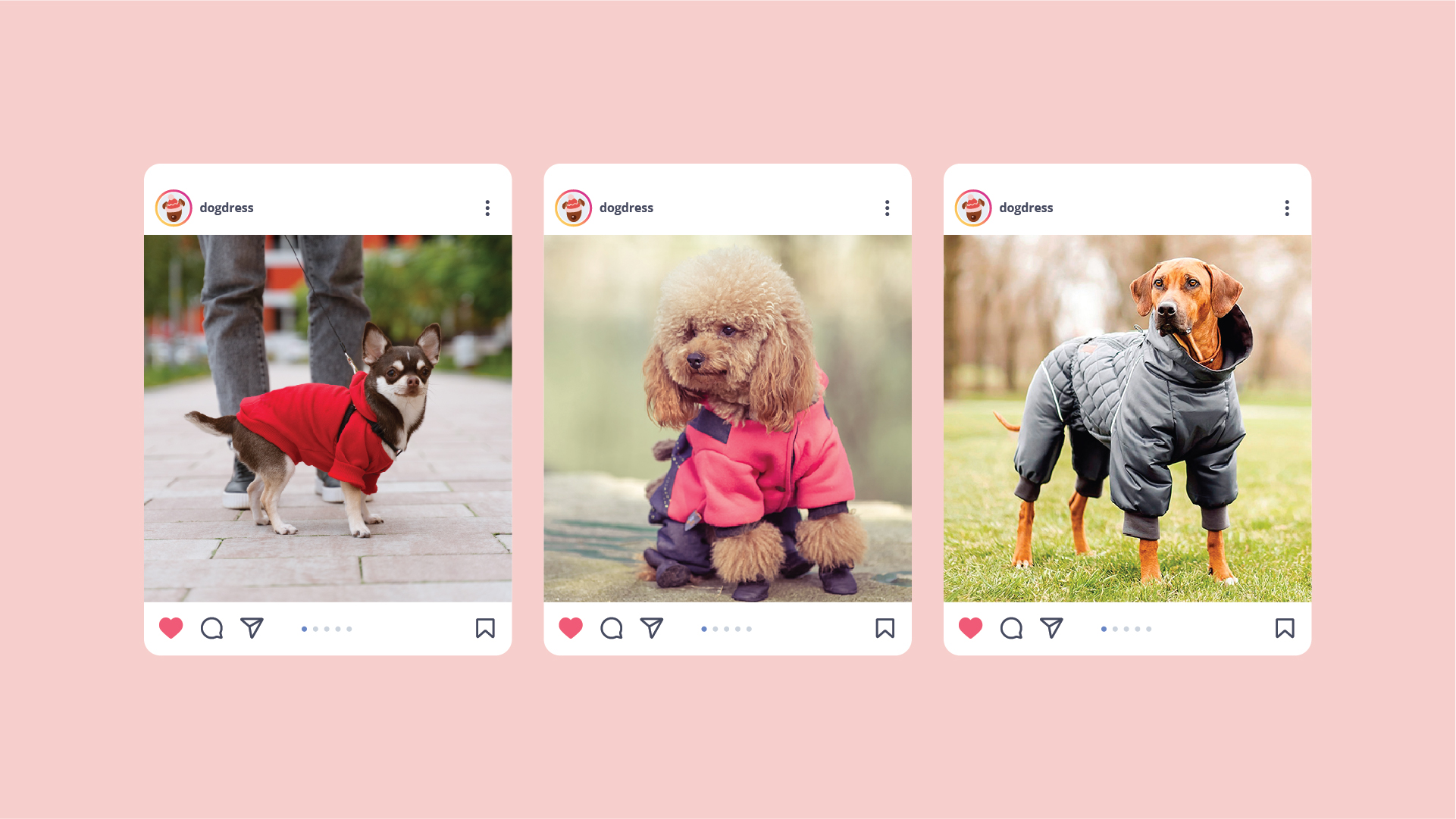 Логотип для бренда одежды для собак — Изображение №6 — Брендинг на Dprofile