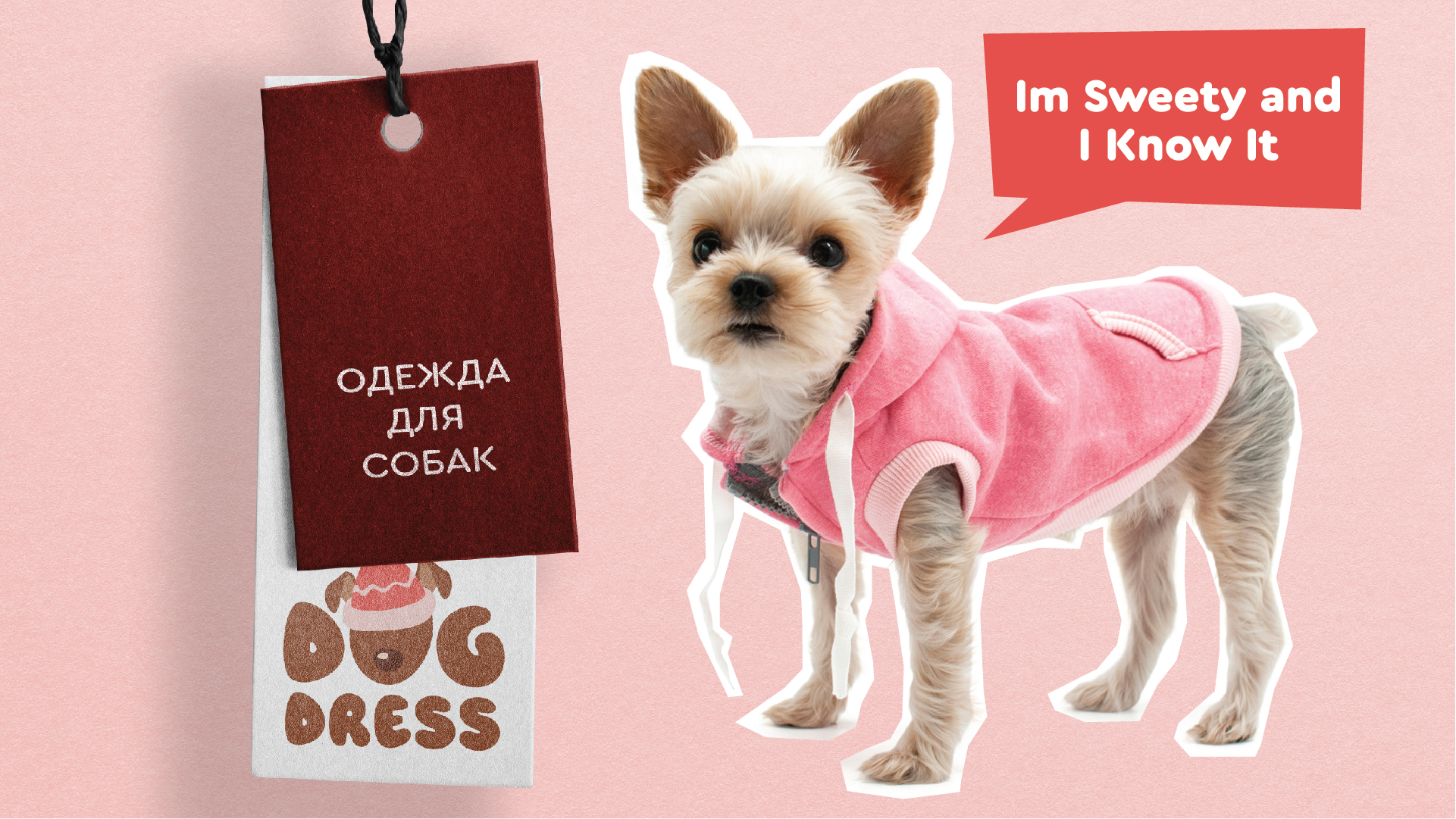 Логотип для бренда одежды для собак — Изображение №1 — Брендинг на Dprofile