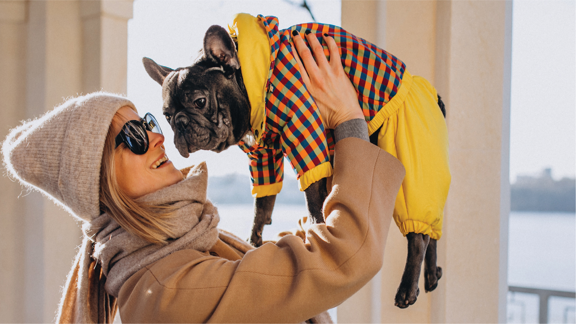 Логотип для бренда одежды для собак — Изображение №5 — Брендинг на Dprofile