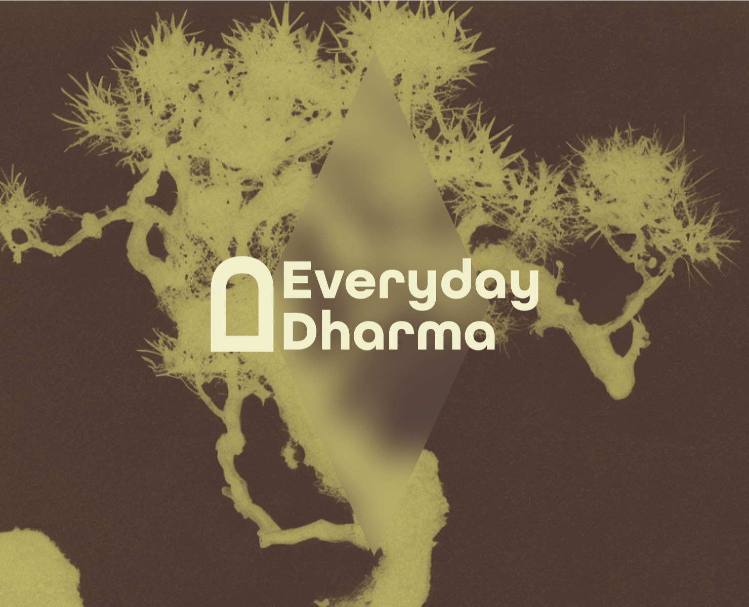 Everyday dharma I Айдентика — Брендинг, Графика на Dprofile