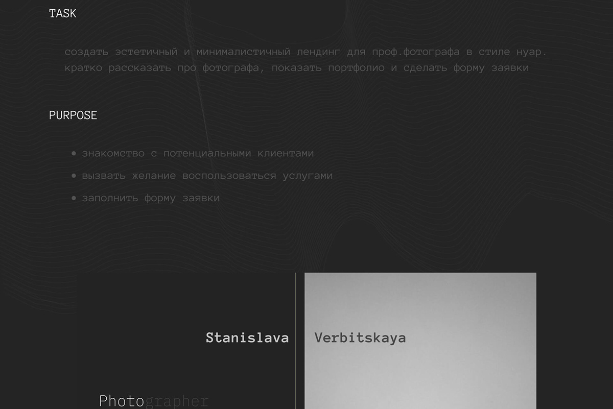 landing page for photographer — Изображение №2 — Интерфейсы, Брендинг на Dprofile
