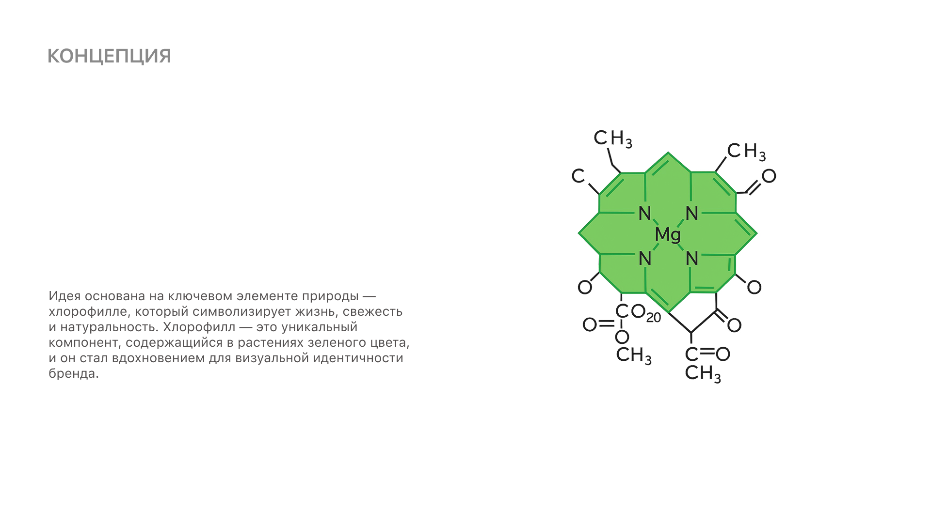GreenMe. Айдентика для кафе здорового питания — Изображение №2 — Брендинг на Dprofile