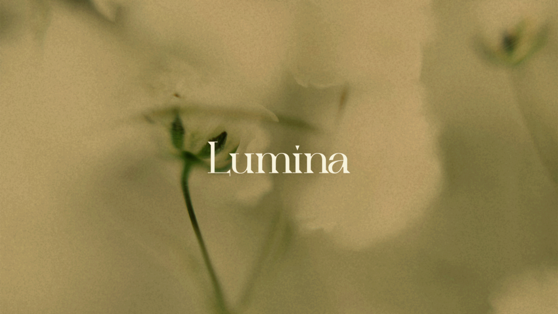 LUMINA CONCEPT — Изображение №1 — Графика на Dprofile