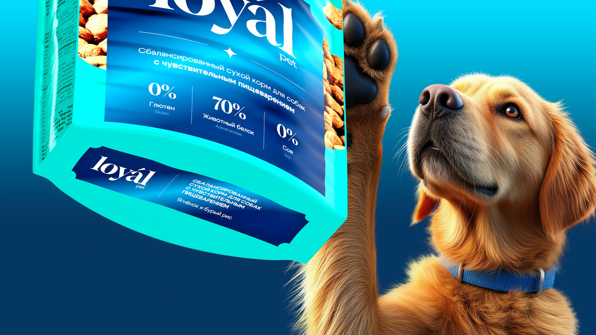 LOYAL PET / Авторская концепция — Изображение №15 — Брендинг, Графика на Dprofile