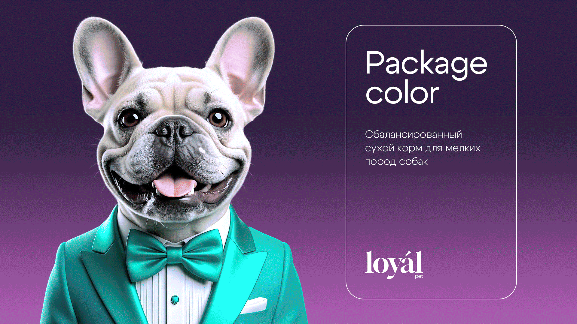 LOYAL PET / Авторская концепция — Изображение №2 — Брендинг, Графика на Dprofile