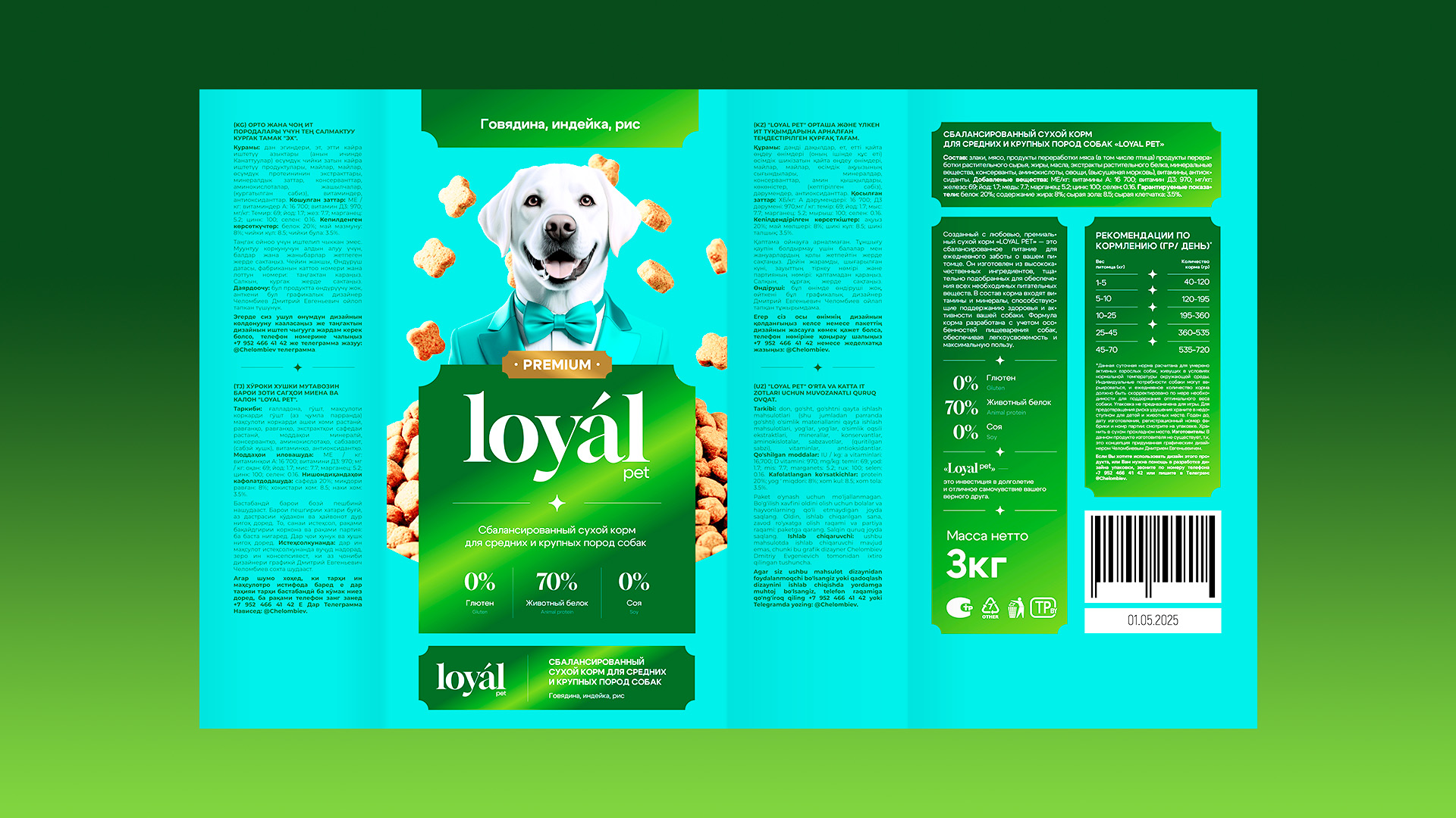 LOYAL PET / Авторская концепция — Изображение №4 — Брендинг, Графика на Dprofile