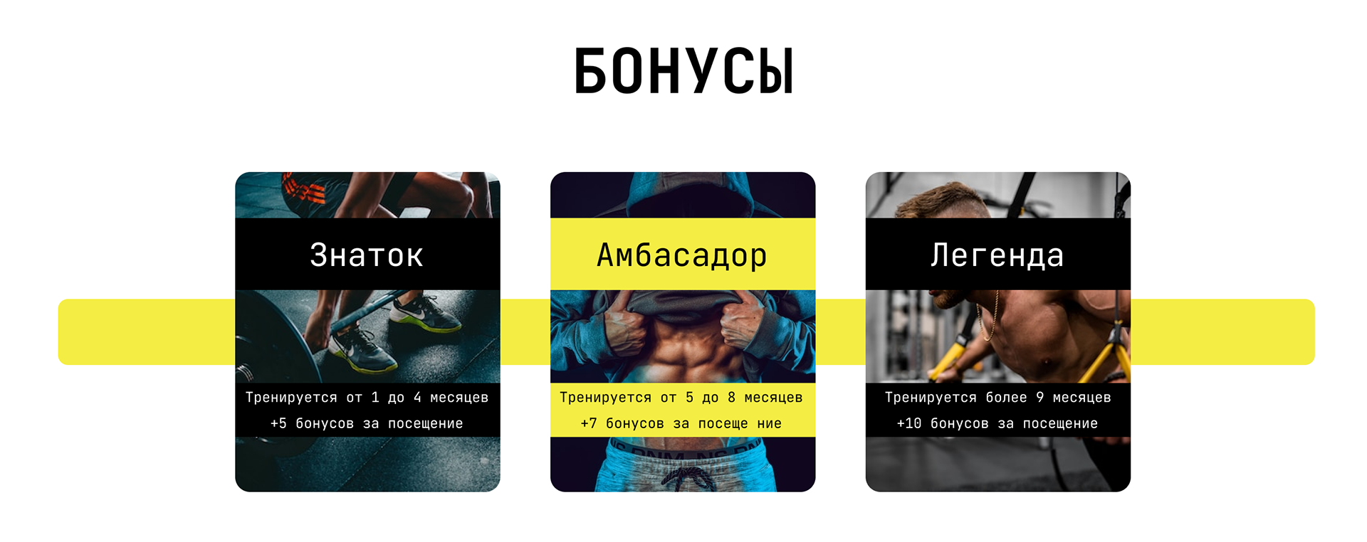 Дипломная работа - Спорт клуб — Изображение №14 — Интерфейсы, Графика на Dprofile