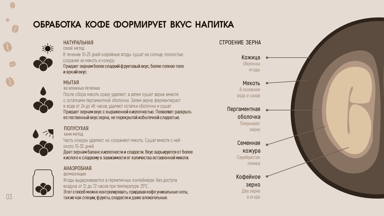 Выбор и приготовление кофе — Изображение №4 — Графика, Маркетинг на Dprofile