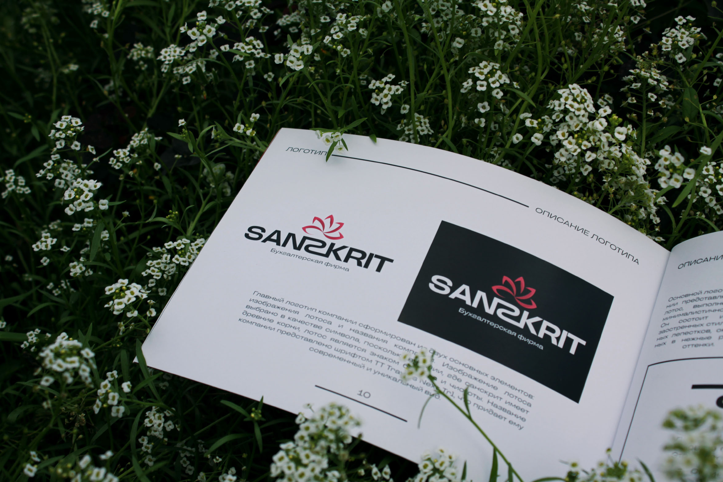 Brand book "Sanskrit" 2024 — Изображение №6 — Брендинг, Графика на Dprofile