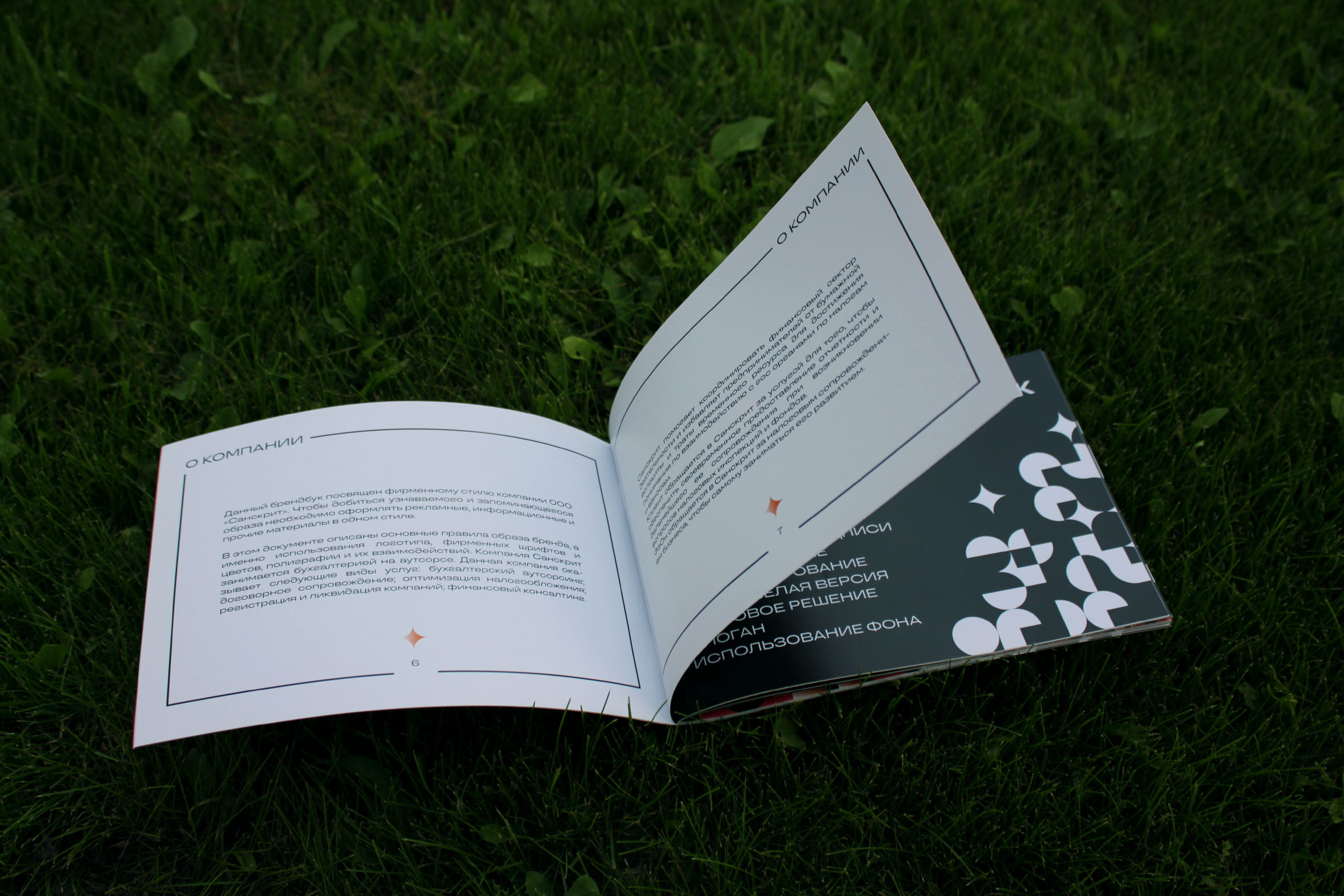 Brand book "Sanskrit" 2024 — Изображение №4 — Брендинг, Графика на Dprofile
