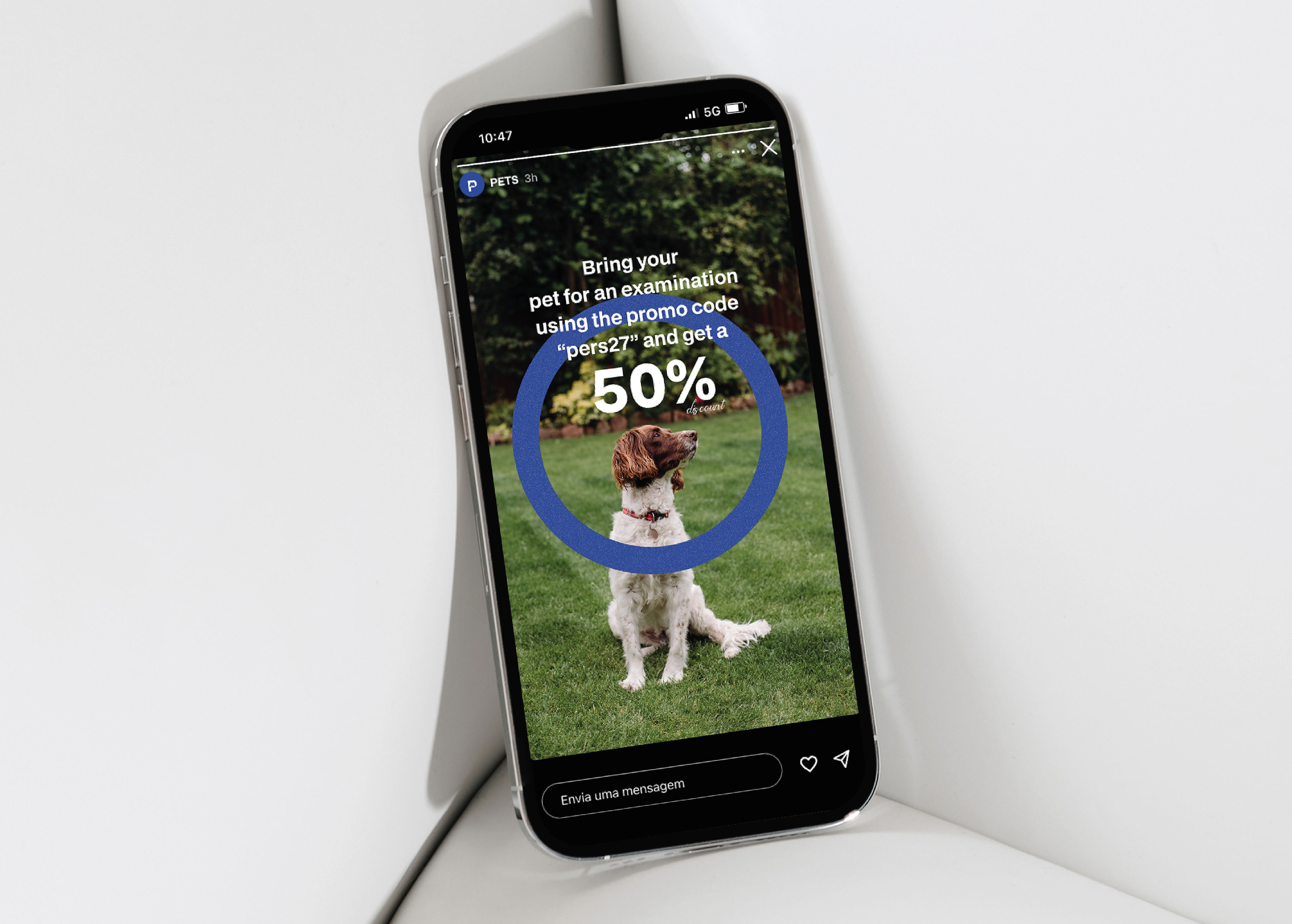 IDENTITY FOR PET PRODUCTS "PETS" — Изображение №9 — Интерфейсы, Брендинг на Dprofile