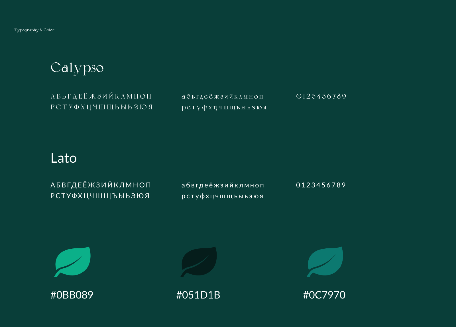Teatopia — Online Tea Store | Website — Изображение №3 — Интерфейсы на Dprofile