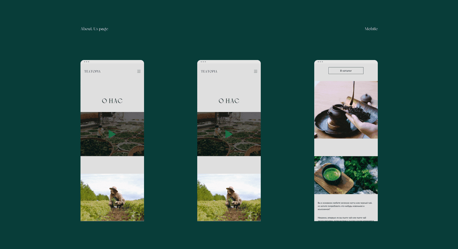 Teatopia — Online Tea Store | Website — Изображение №16 — Интерфейсы на Dprofile