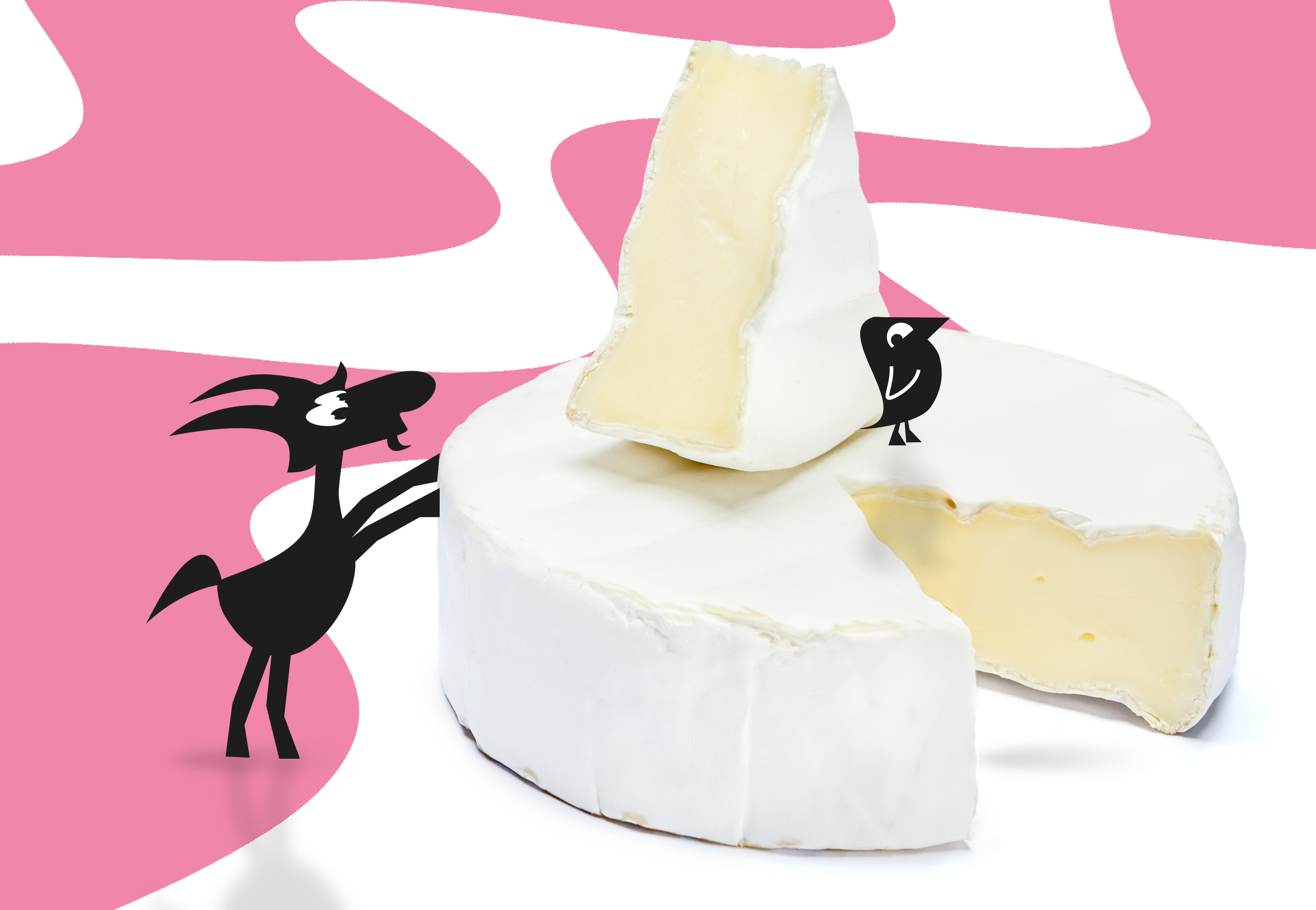 Фирменный стиль и упаковка продуктов из козьего молока — Изображение №15 — Брендинг, Иллюстрация на Dprofile
