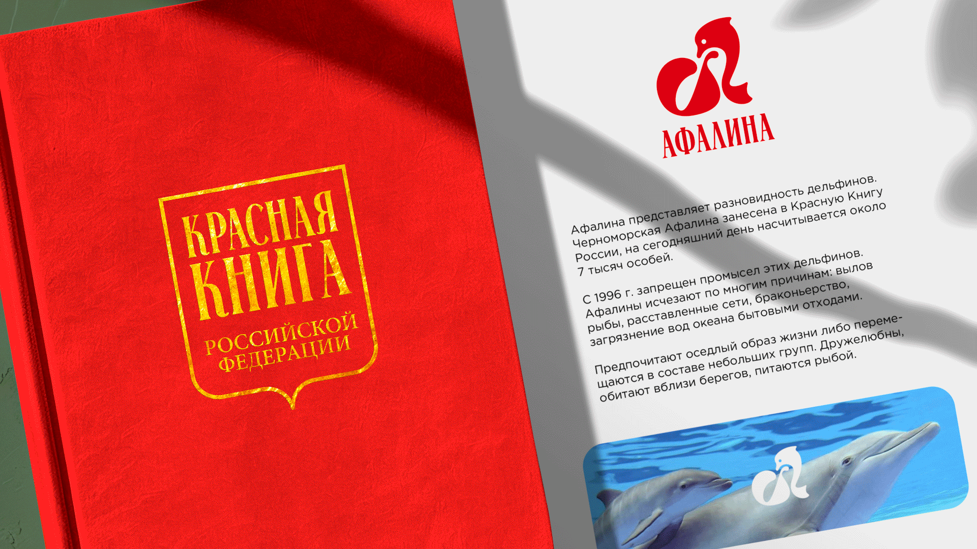 Животные Красной Книги в буквах. — Изображение №2 — Брендинг, Графика на Dprofile