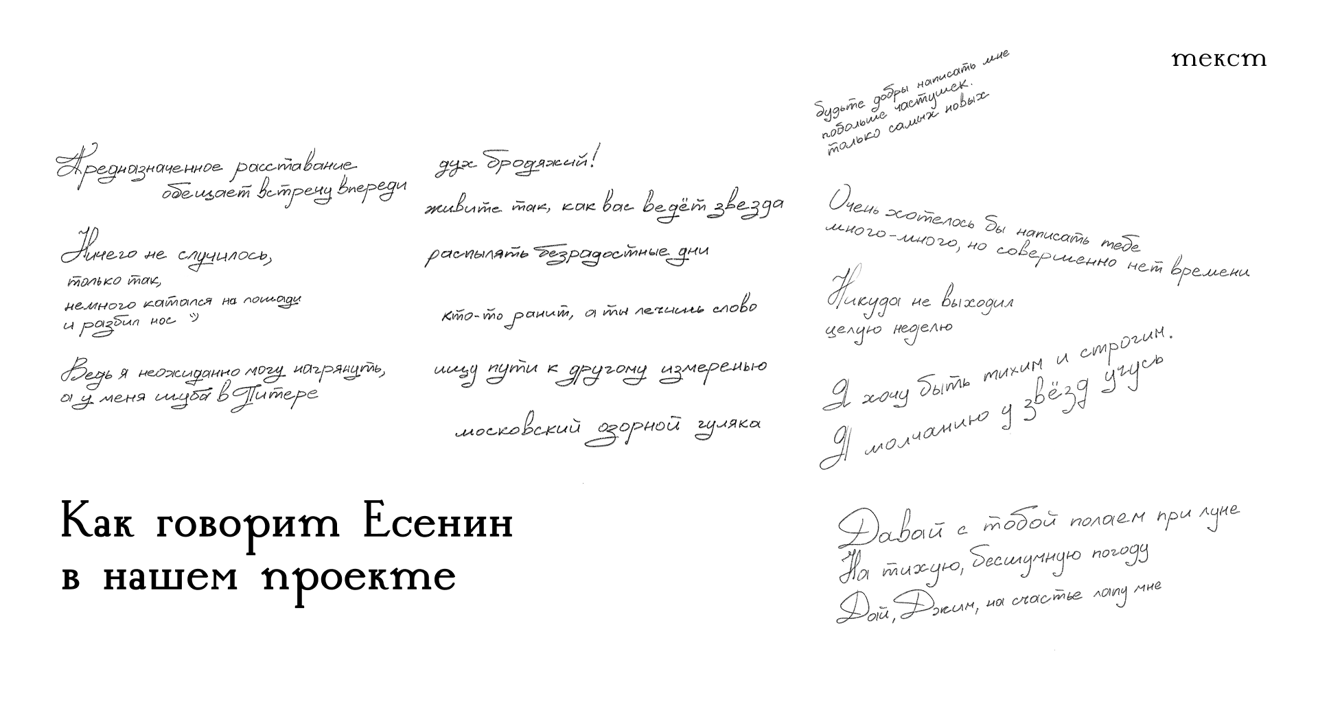 Мерч для музея Есенина в Константинове — Изображение №5 — Брендинг на Dprofile